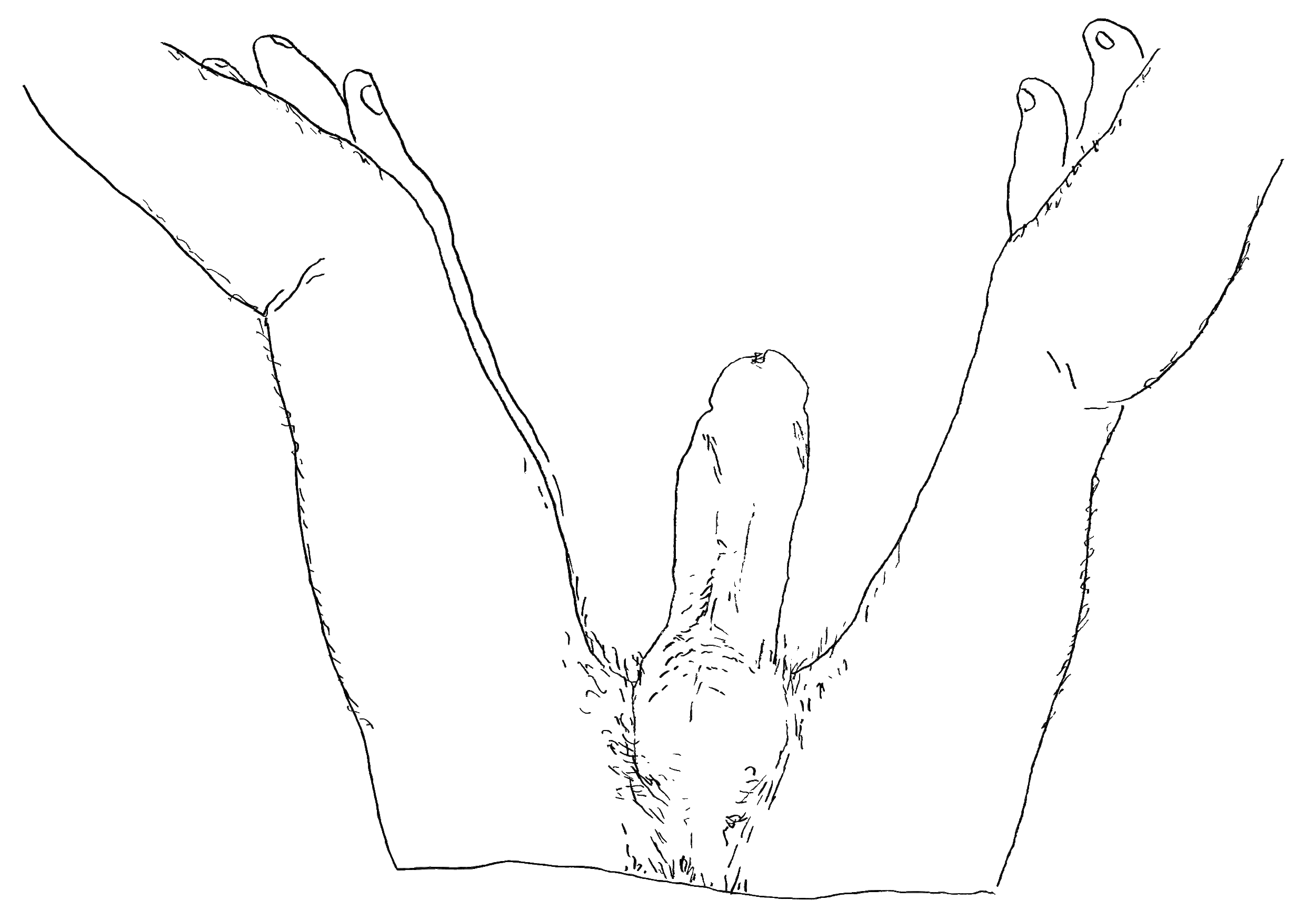 HOLY-CRAP-SUNDAY-(ELIOTT)_00.gif
