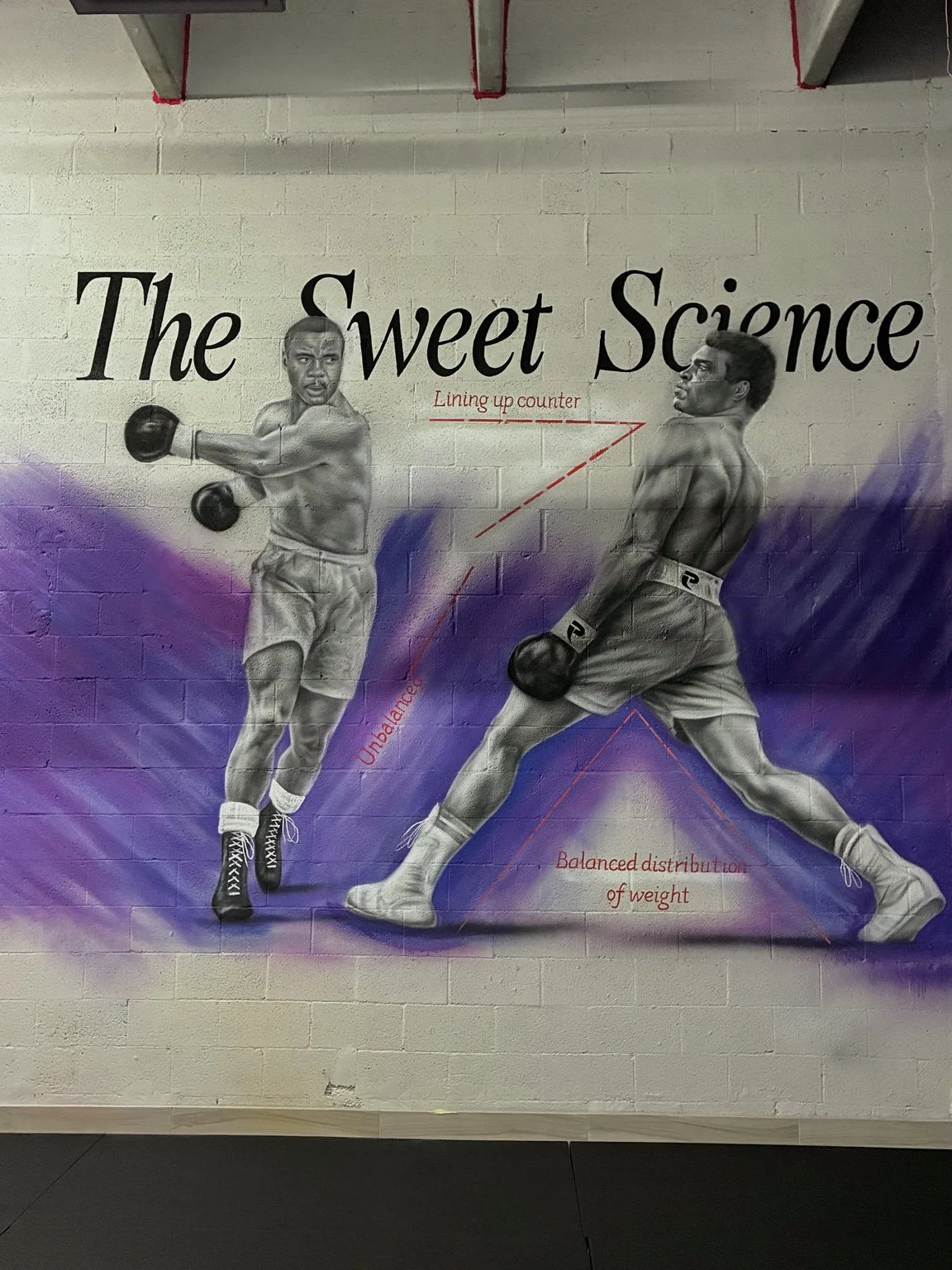 The Sweet Science — Boxing & MMA Gym Murals