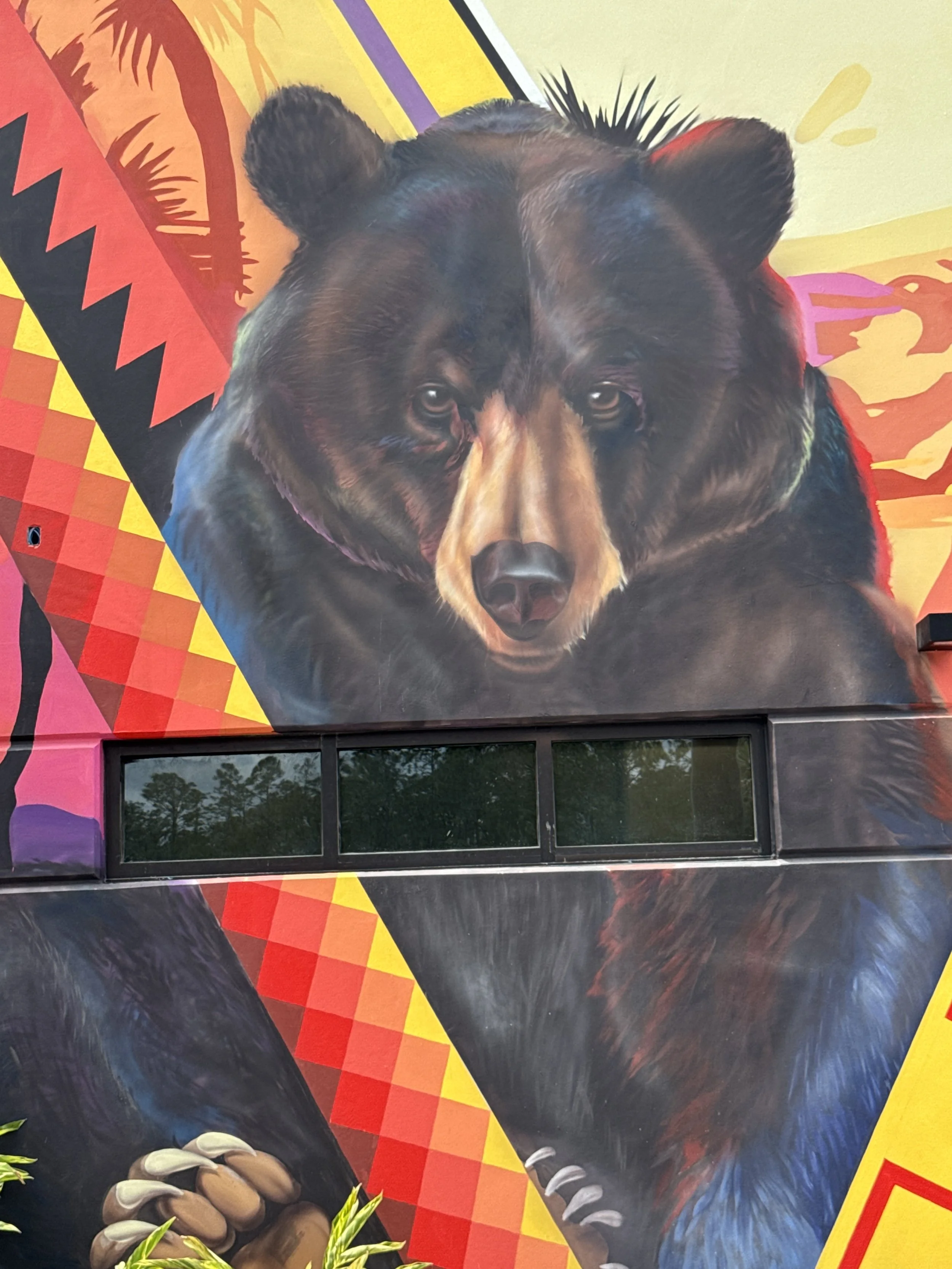 DJI_20250509_113259_383 2.JPG