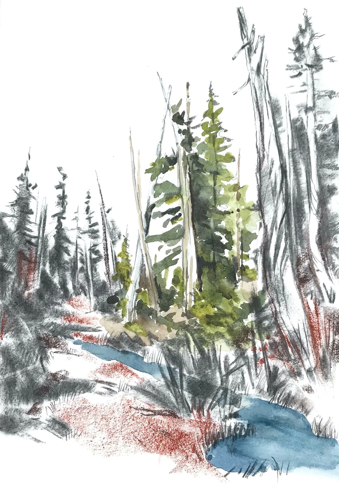 Alpine Meadow, studio