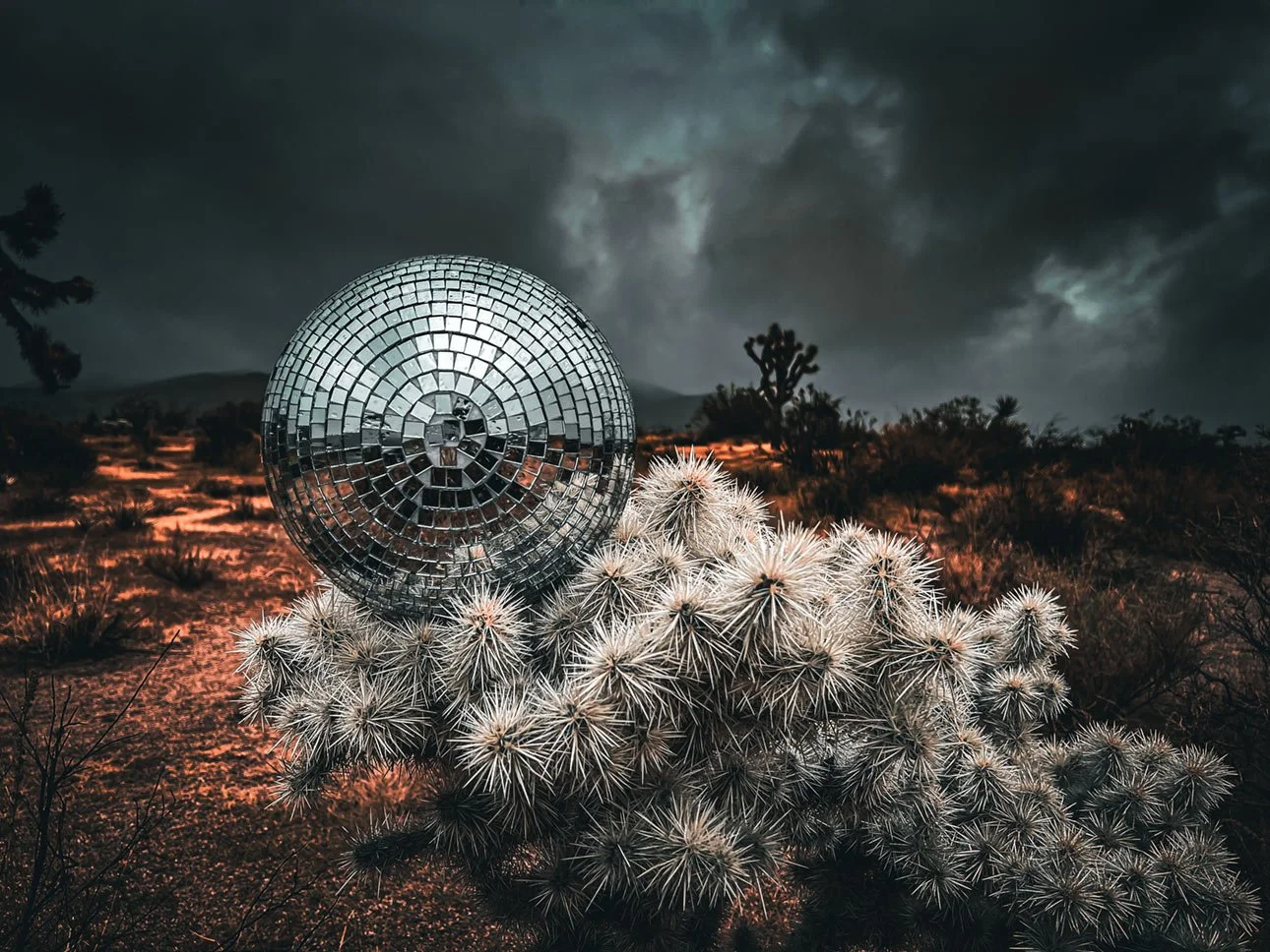 Disco Ball Series Image-019