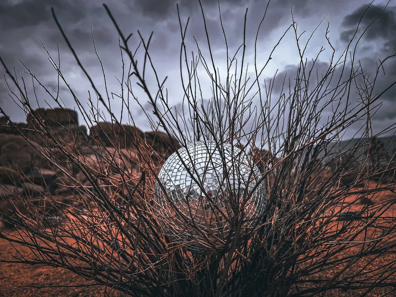 Disco Ball Series Image-016