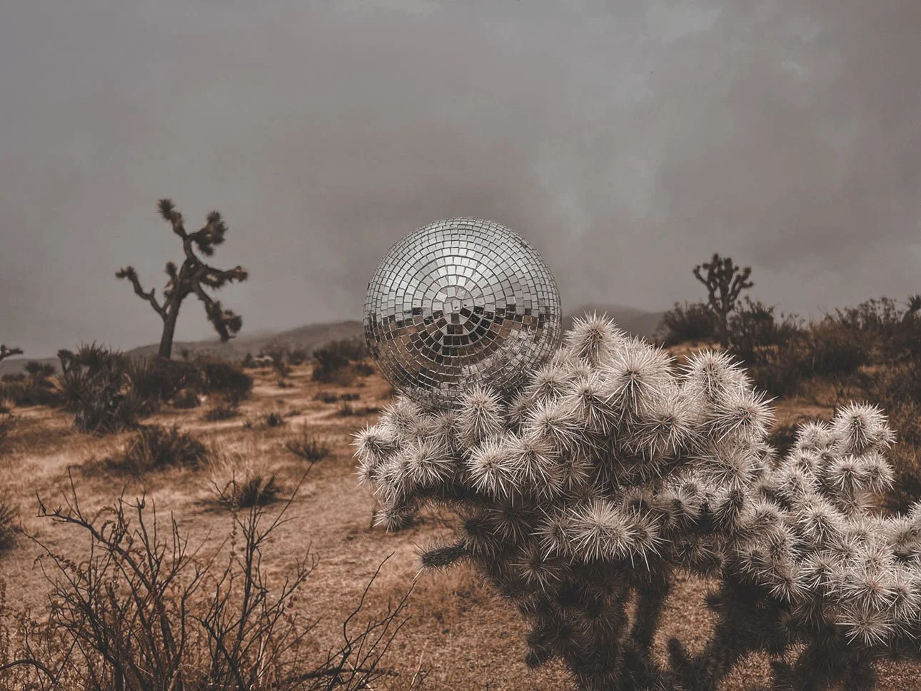 Disco Ball Series Image-020