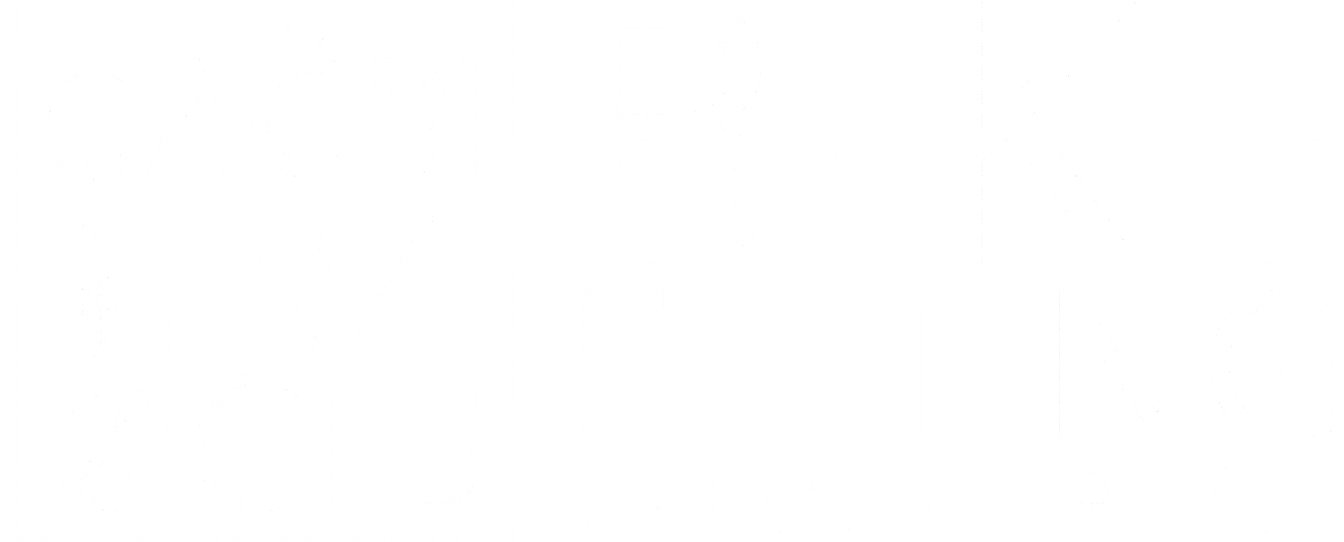 Cagri Terzioglu Bike Fitting &amp; Consultancy