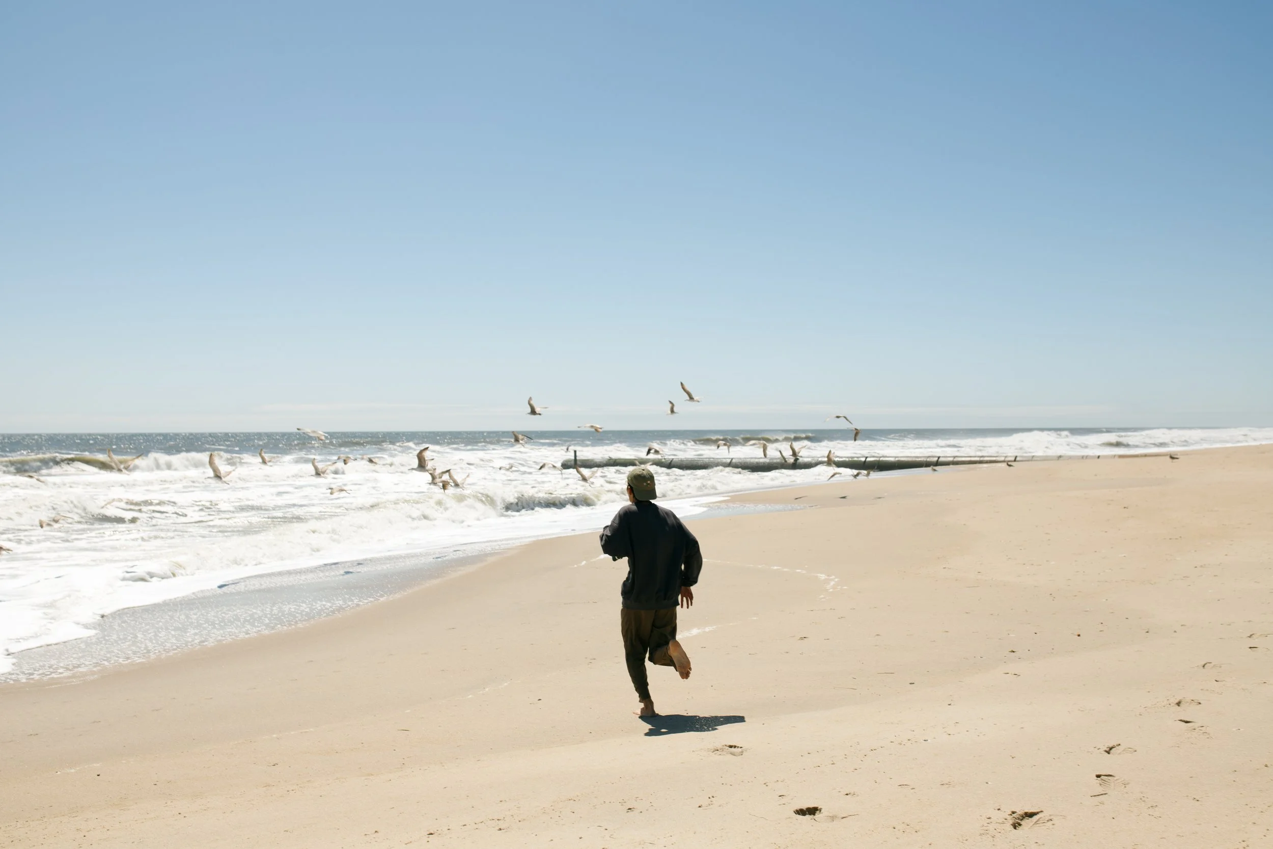 Lucas & seagulls
