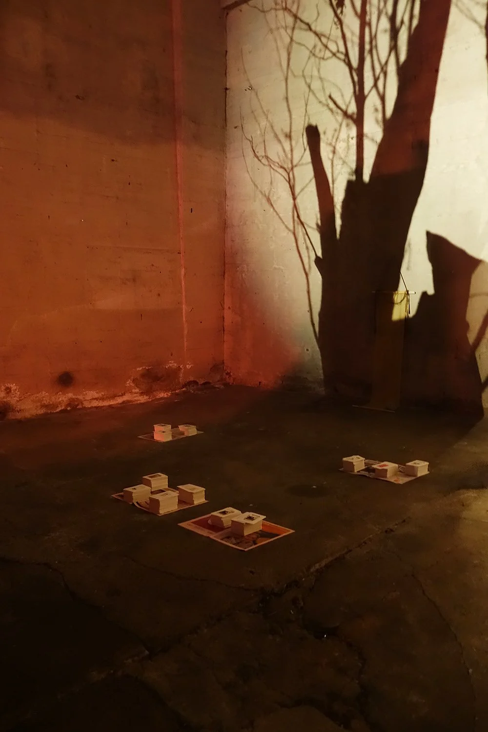 1857 Curated By A Tree 12.jpg