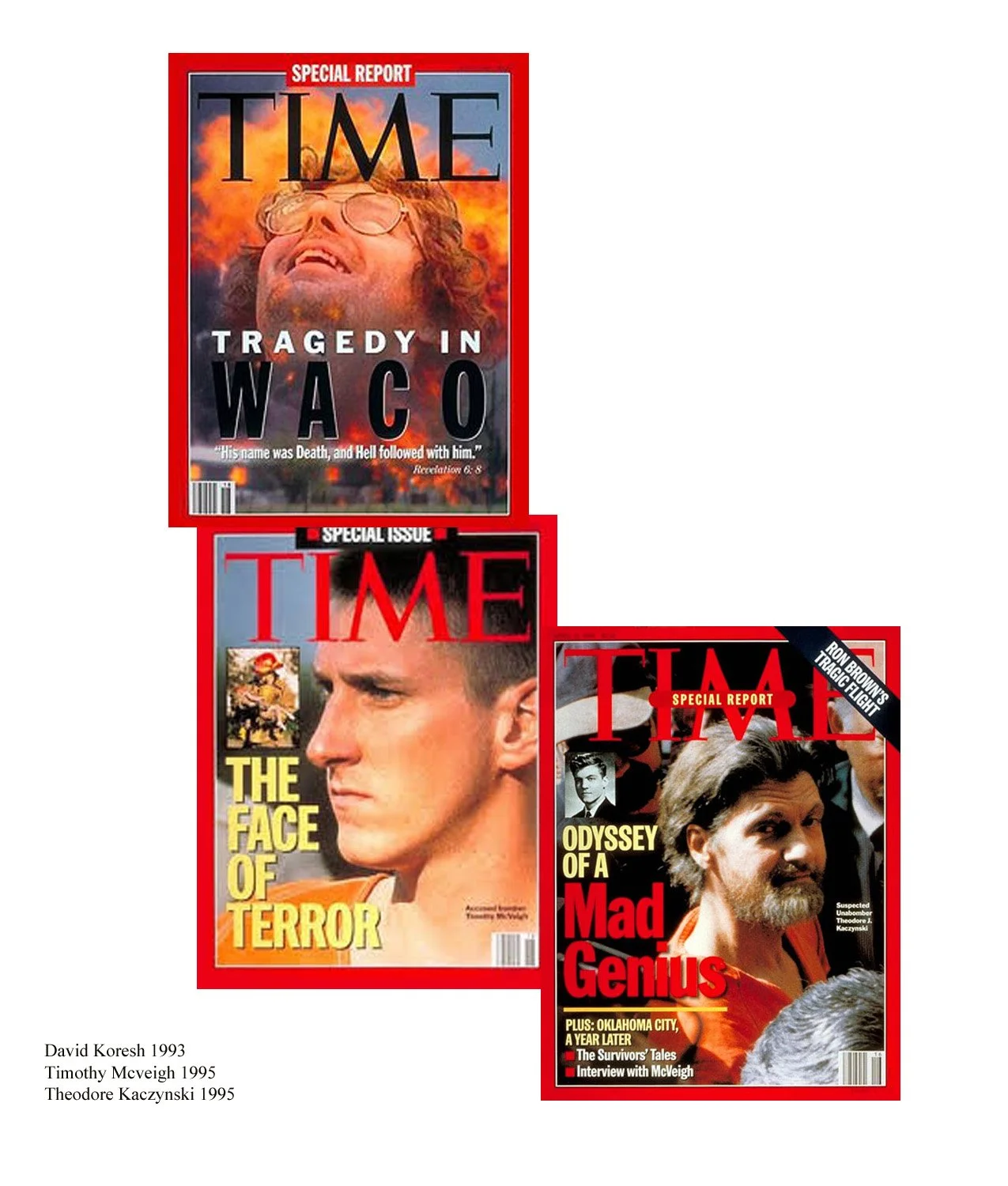 Domestic Terrorists Time Cover.jpg