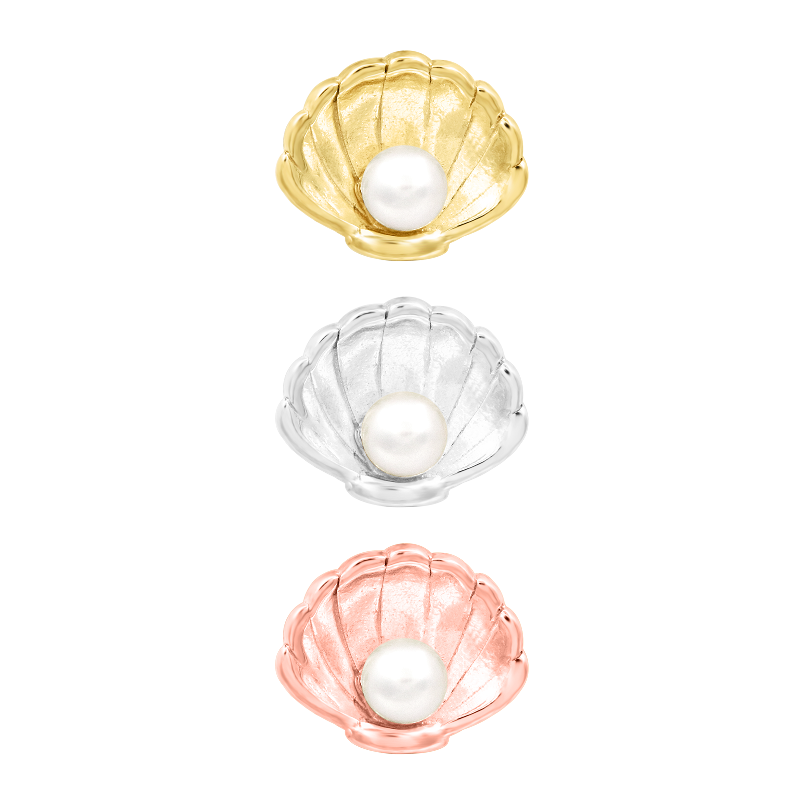 Shellby.png