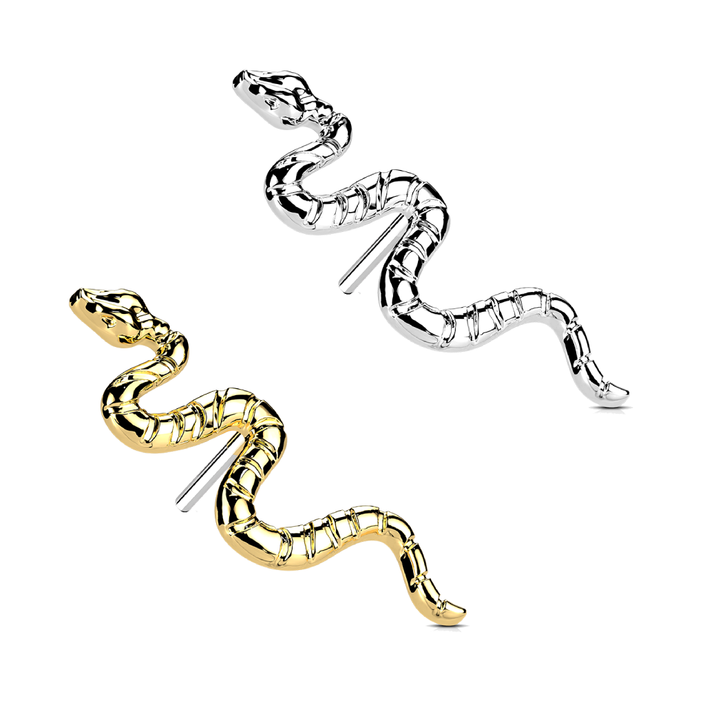 Implant Grade Titanium Threadless Push In Snake Top.png