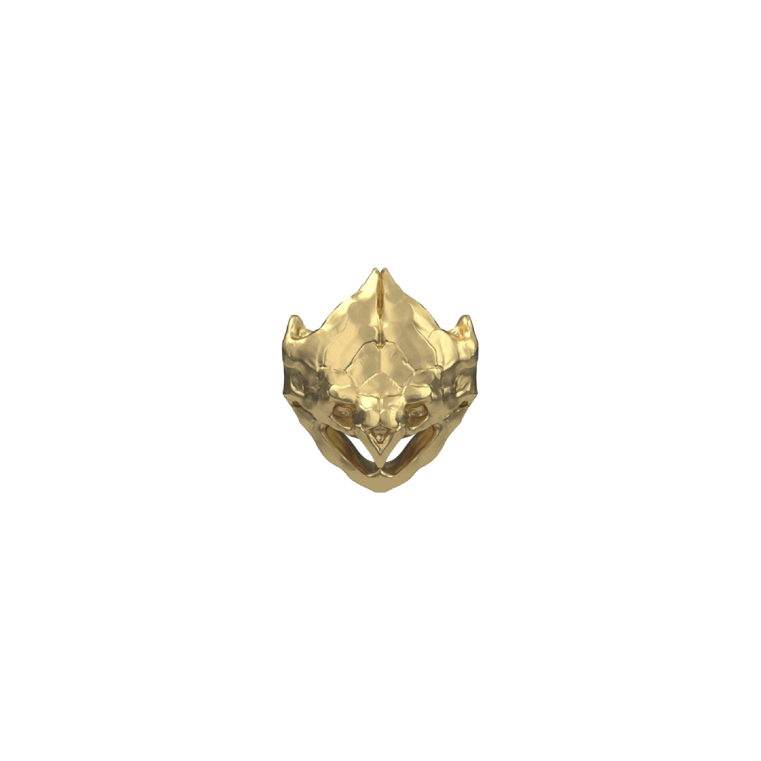 Snapping Turtle Skull.png