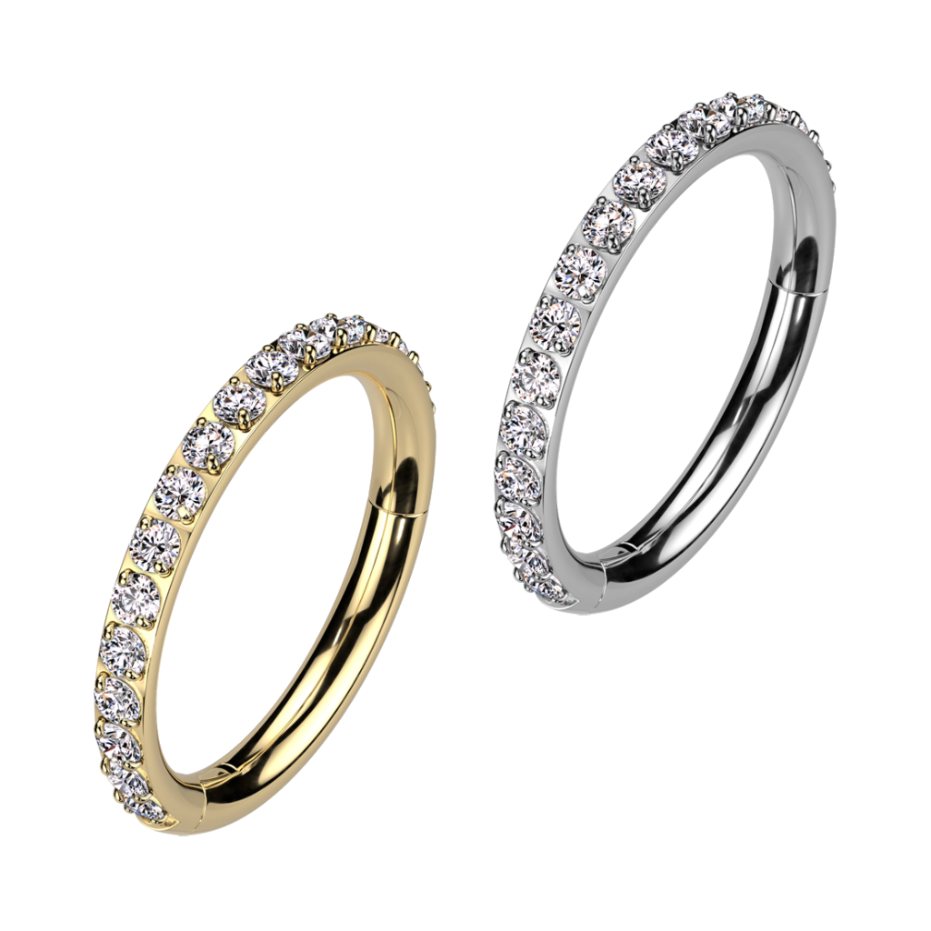 Titanium Hinged Segment Hoop Ring With Outward Facing Pave.png