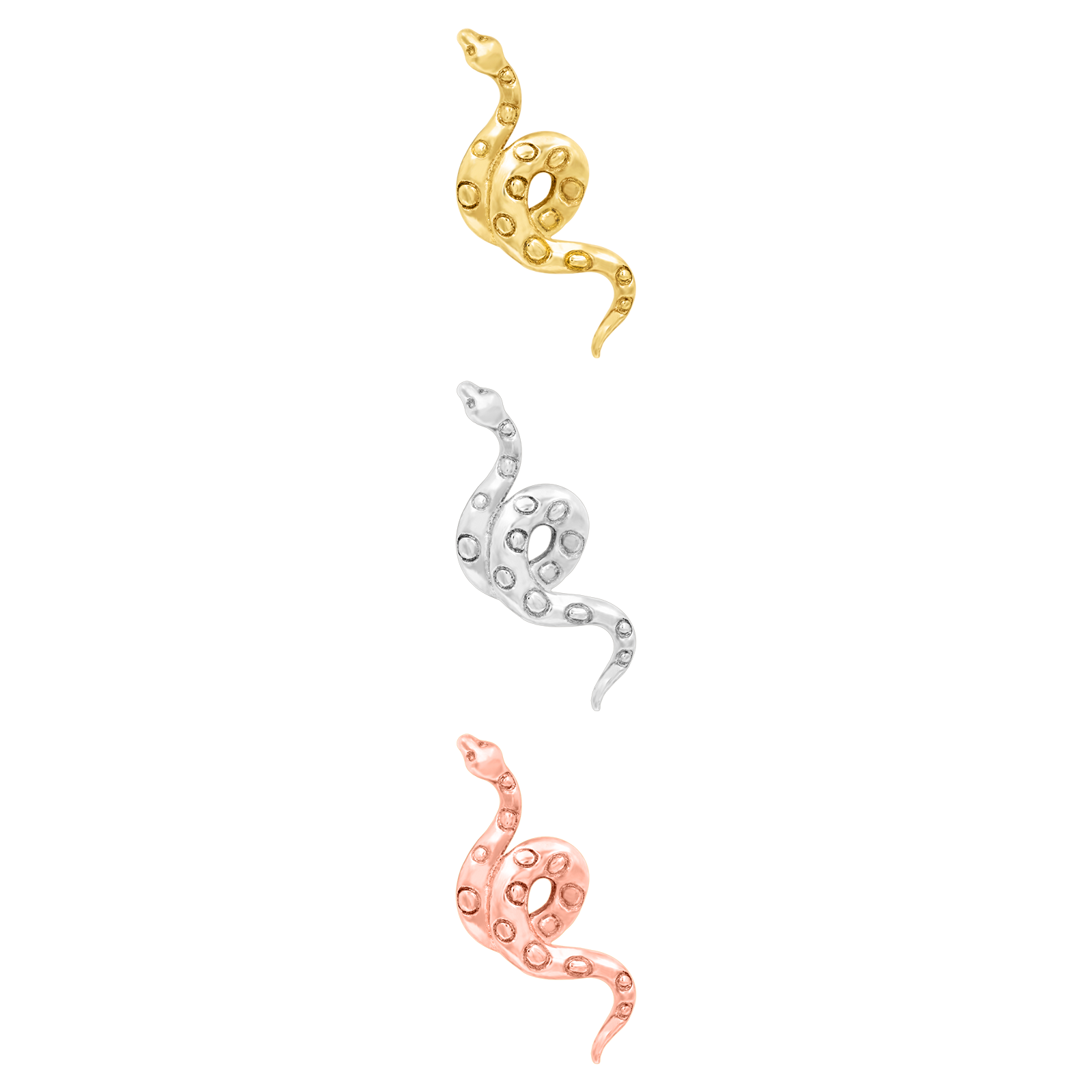 Textured Snake.png