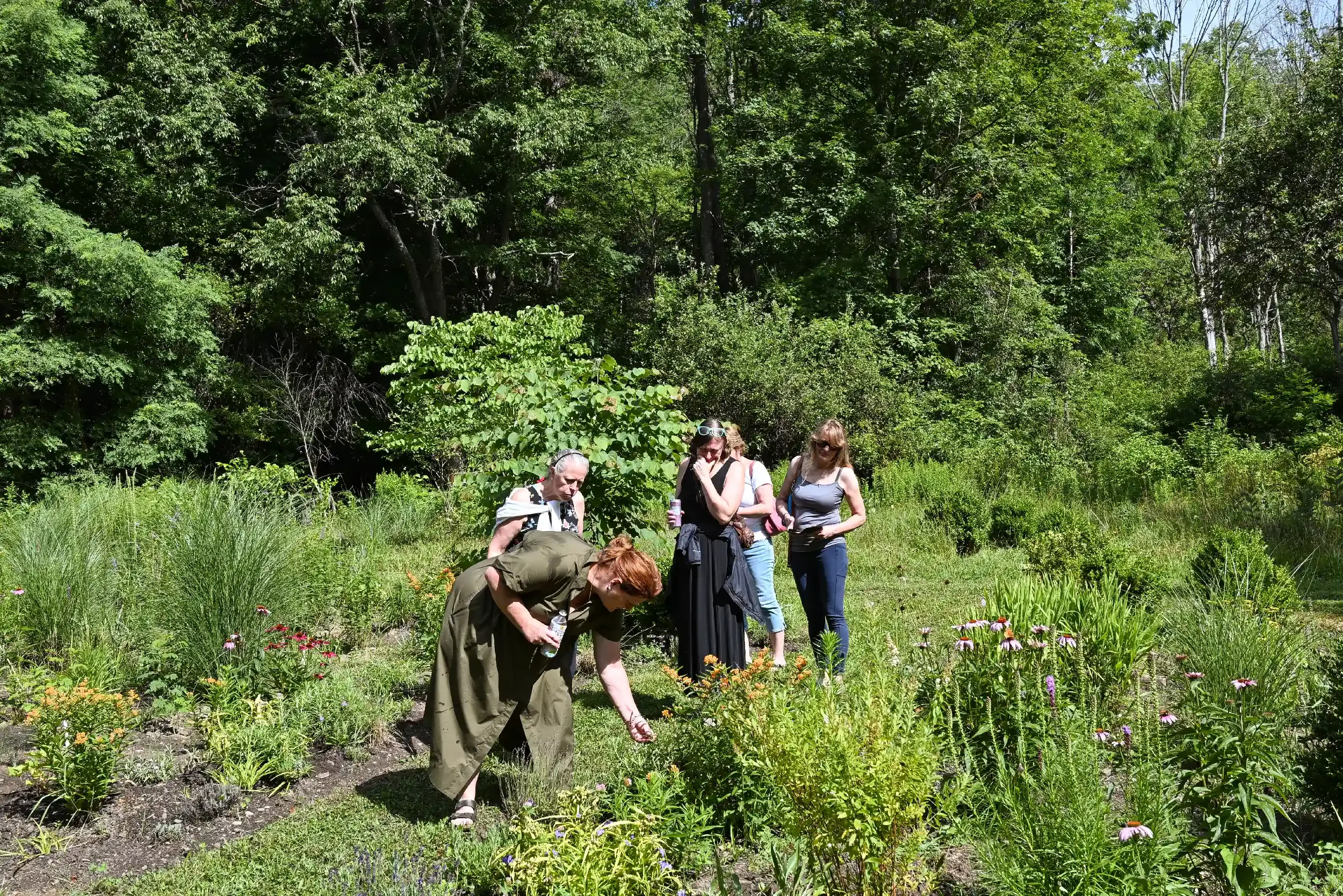 Allison Hosts Artist Colony at Serendipity Gardens