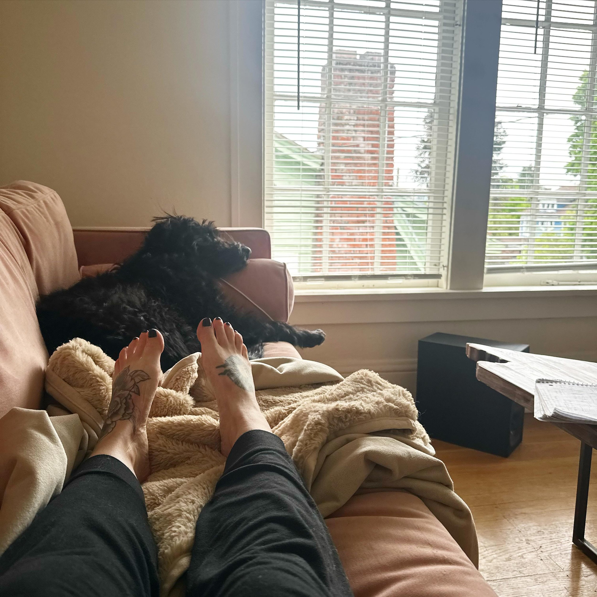 This is what most of my day looked like yesterday after a long walk with a friend by the delta to wear out our pups.

In the spirit of &ldquo;big life living&rdquo; - I&rsquo;ve moved twice in April (solo), furnished an apartment (solo), settled in t