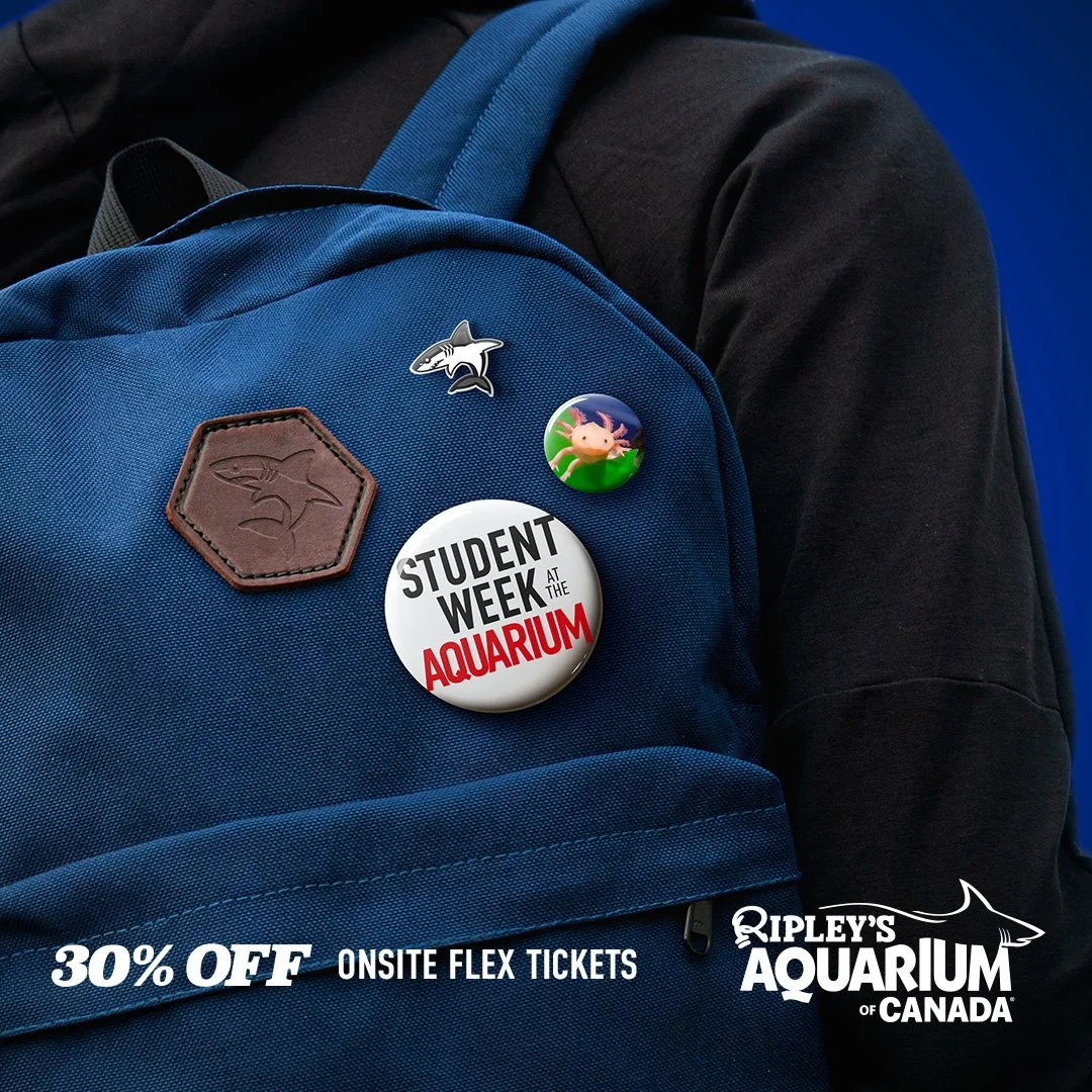 A close-up photo of a student's backpack showing marine themed buttons for a Student Week Digital Promotional for Ripleys Aquarium of Canada
