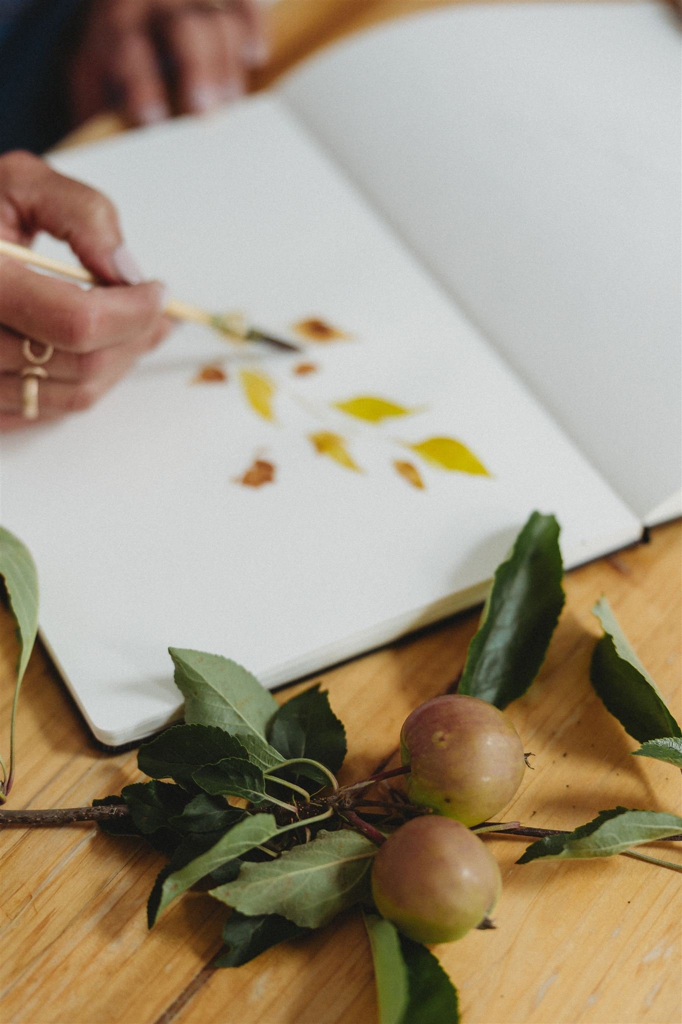 Person watercolor painting on paper, with apples and leaves on a wooden table.