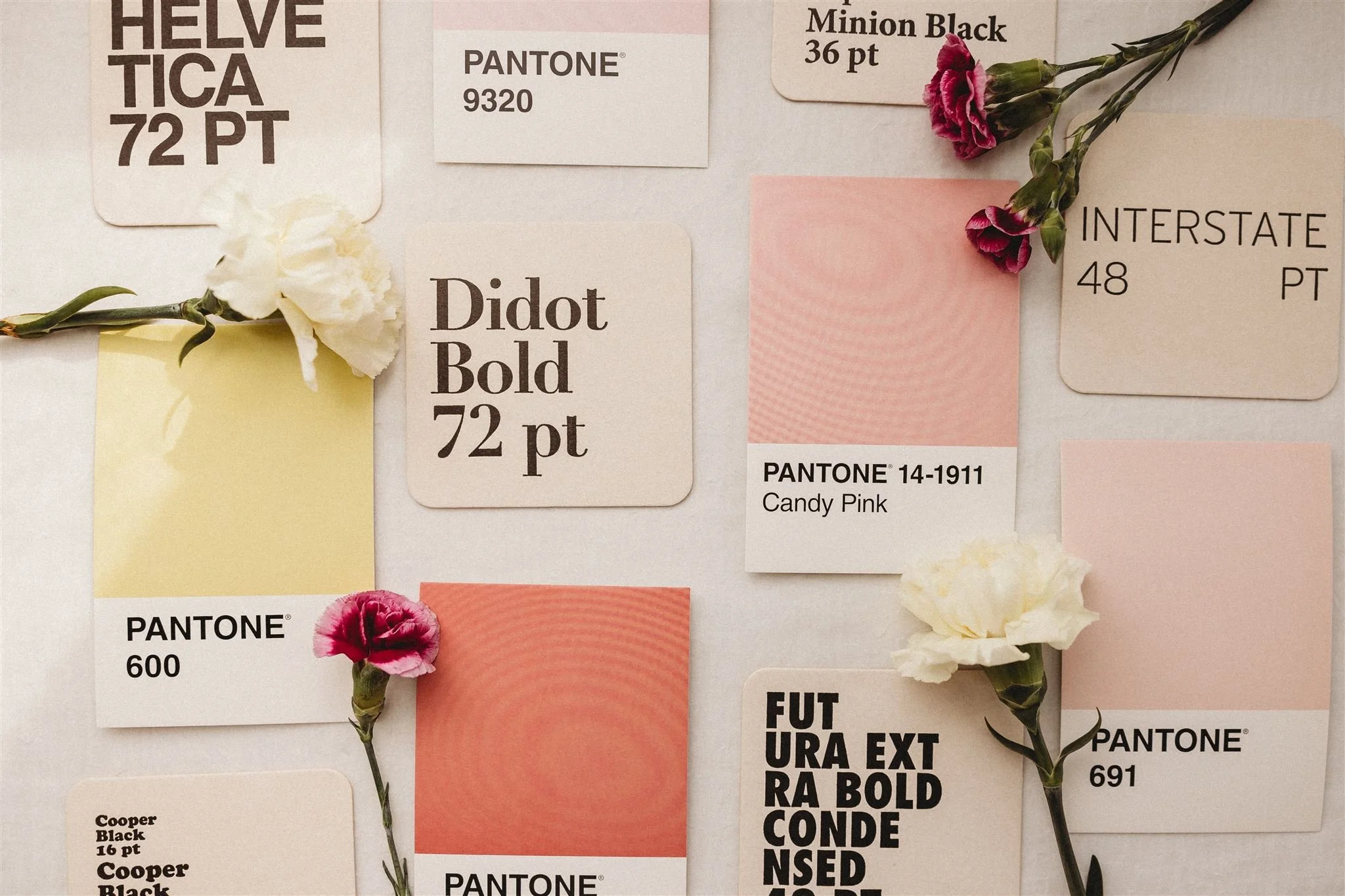 A flatlay of Blooming Design Co.'s brand design process featuring Pantone color swatches in blush, coral, and yellow alongside typography samples including Didot Bold and Helvetica, styled with fresh carnations