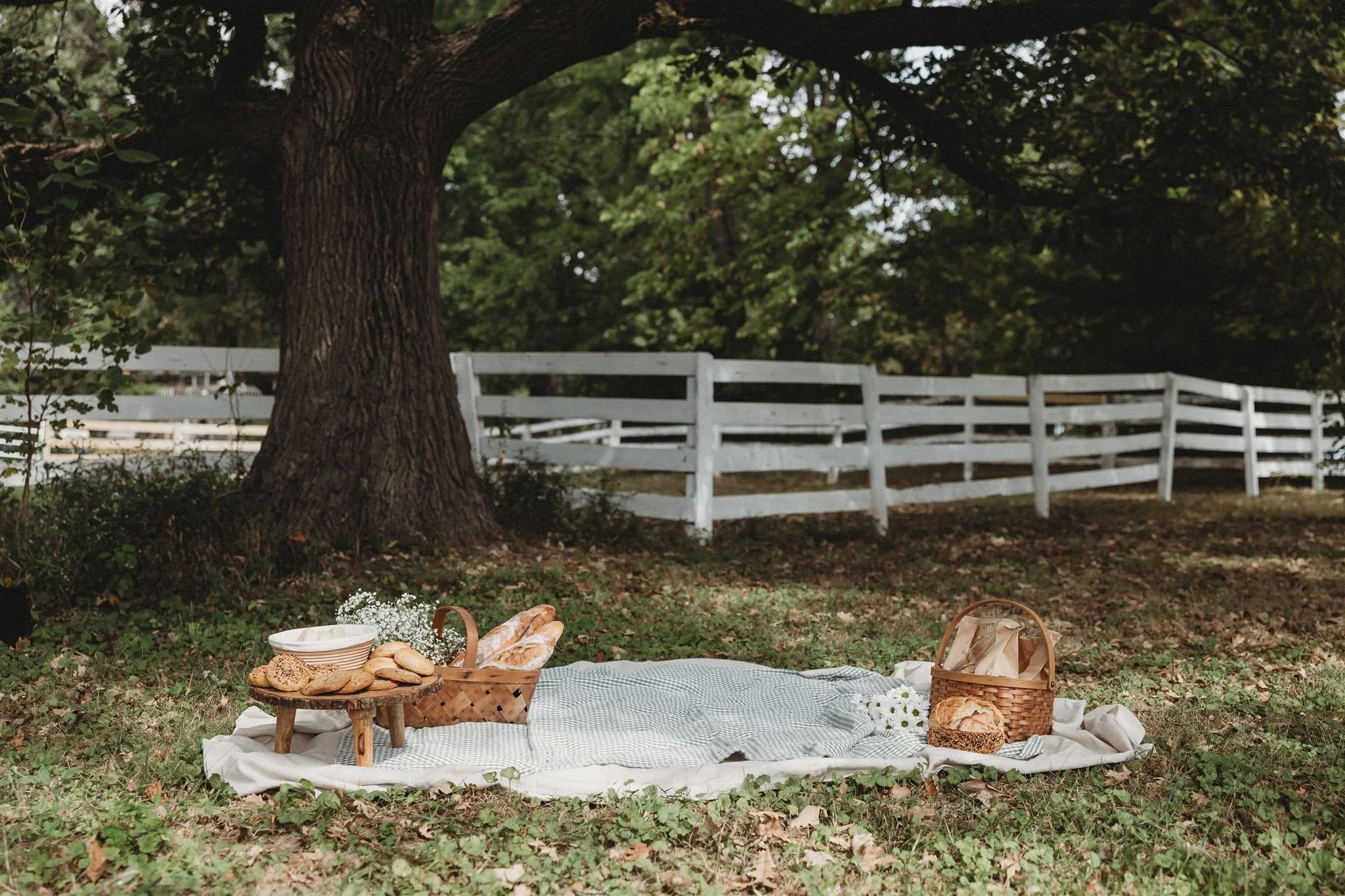 Outdoor picnic spread with sourdough bread and baguettes in wicker baskets under a large tree — Wild Flour Sourdough Bakehouse brand photography, Central Illinois