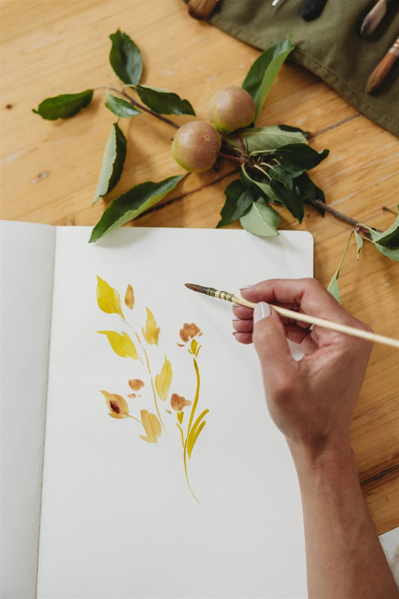 A person painting a botanical illustration in a sketchbook with watercolors, with a branch of apples and leaves on a wooden surface nearby.