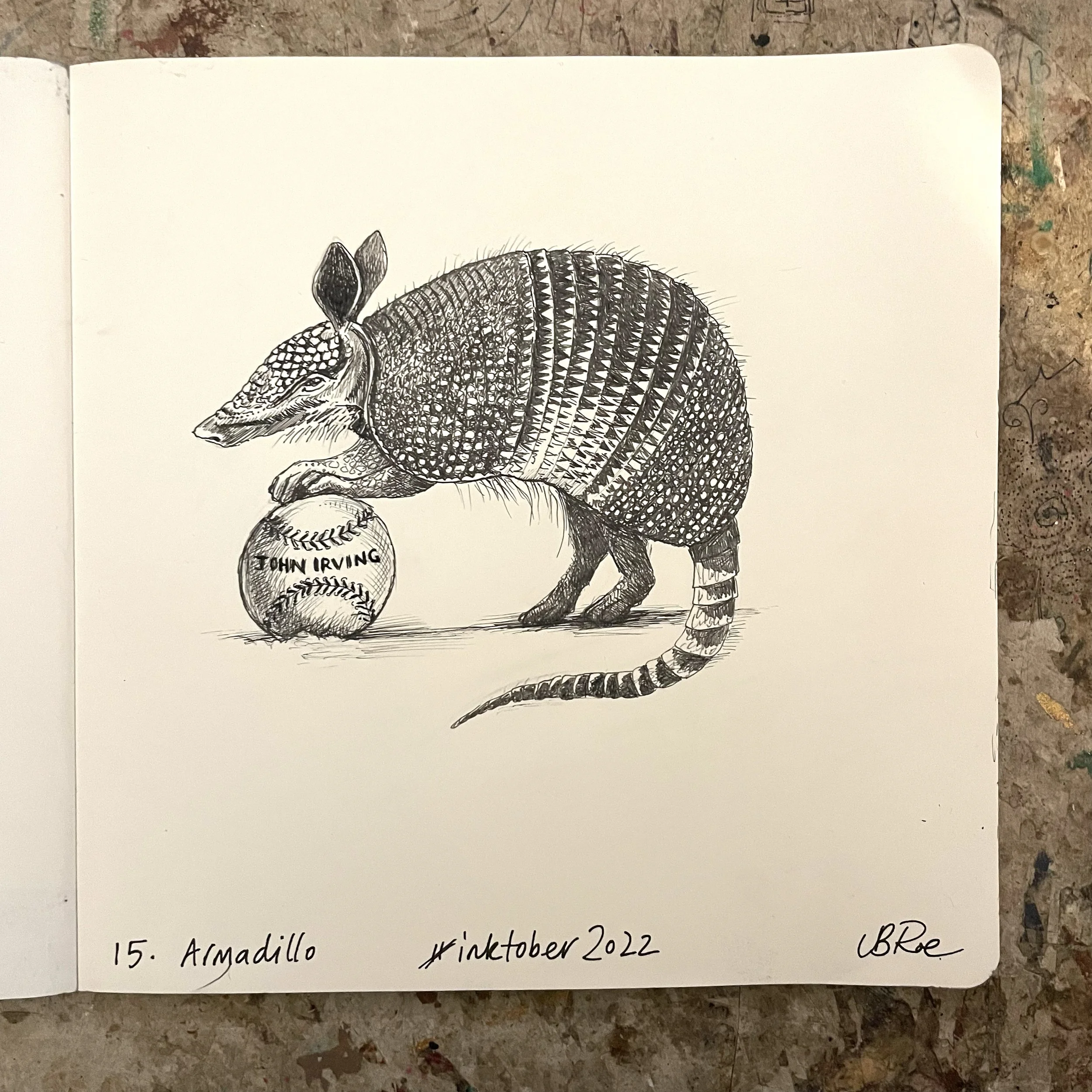 DAY 15: ARMADILLO