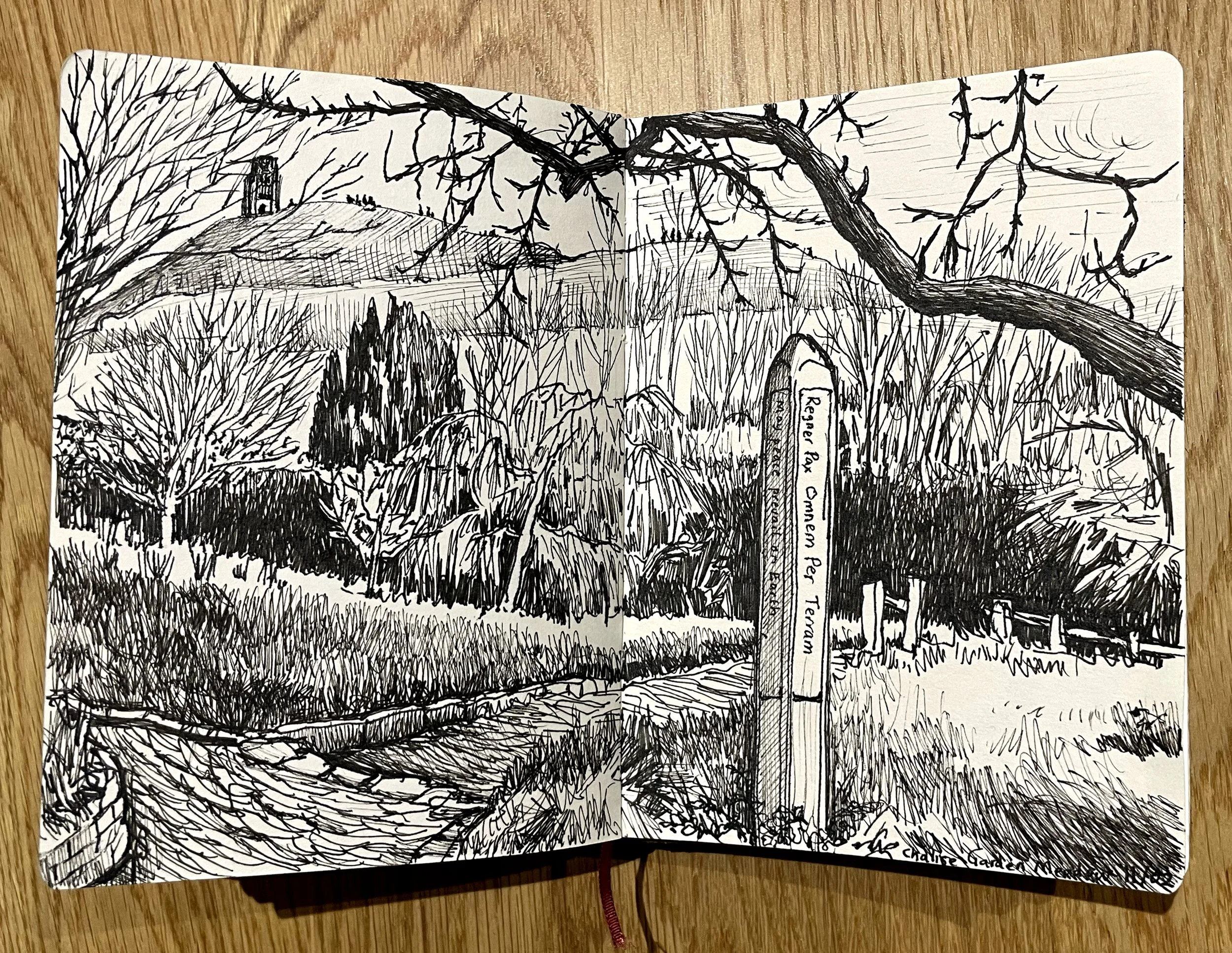 The Meadow at Glastonbury Chalice Garden. I started the sketch in situ, mapping out all the parts of the drawing but ran out of time so I took a photo and finished it later indoors.