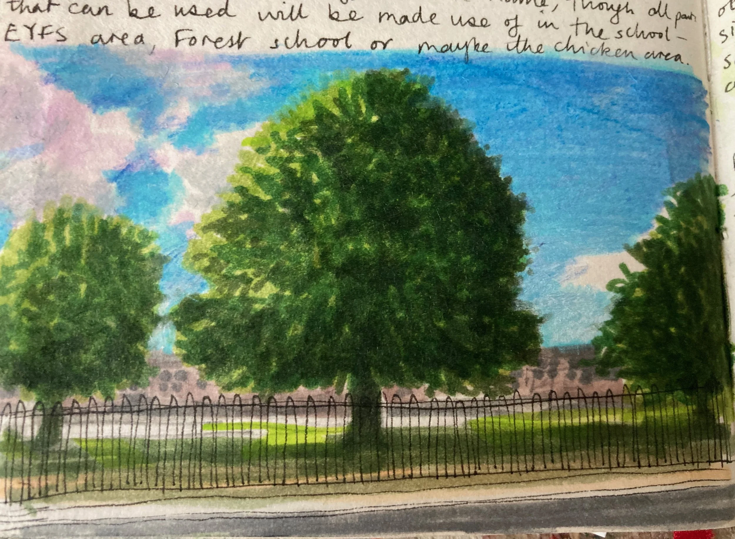 The Oak tree in the Rose Hill Primary School playground. It had to have about half the crown removed shortly after this drawing as it is quite old. 