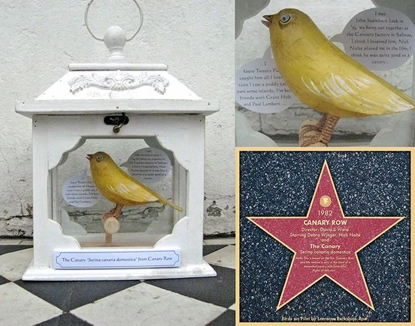 The canary from CANNARY ROW.