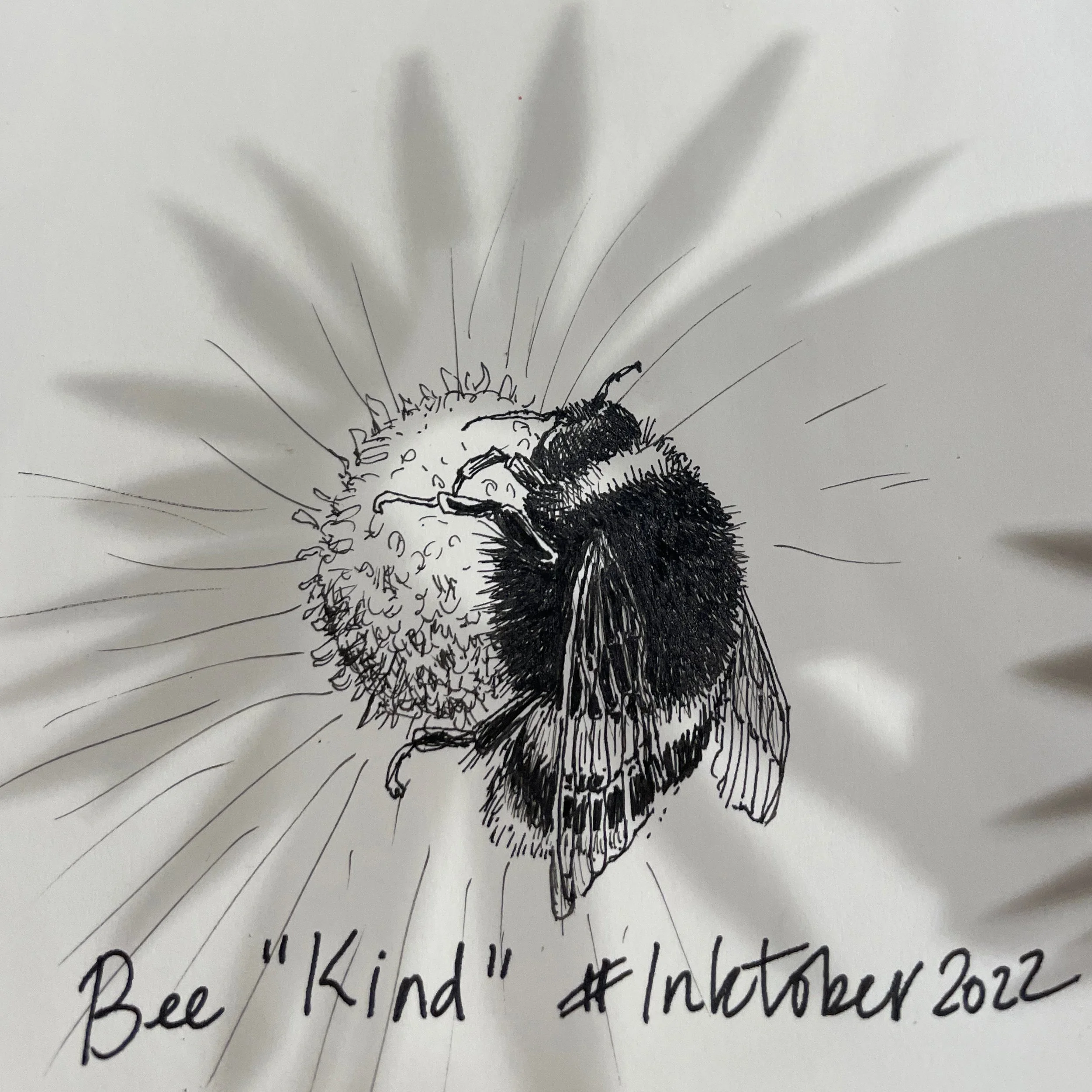 DAY 13: KIND