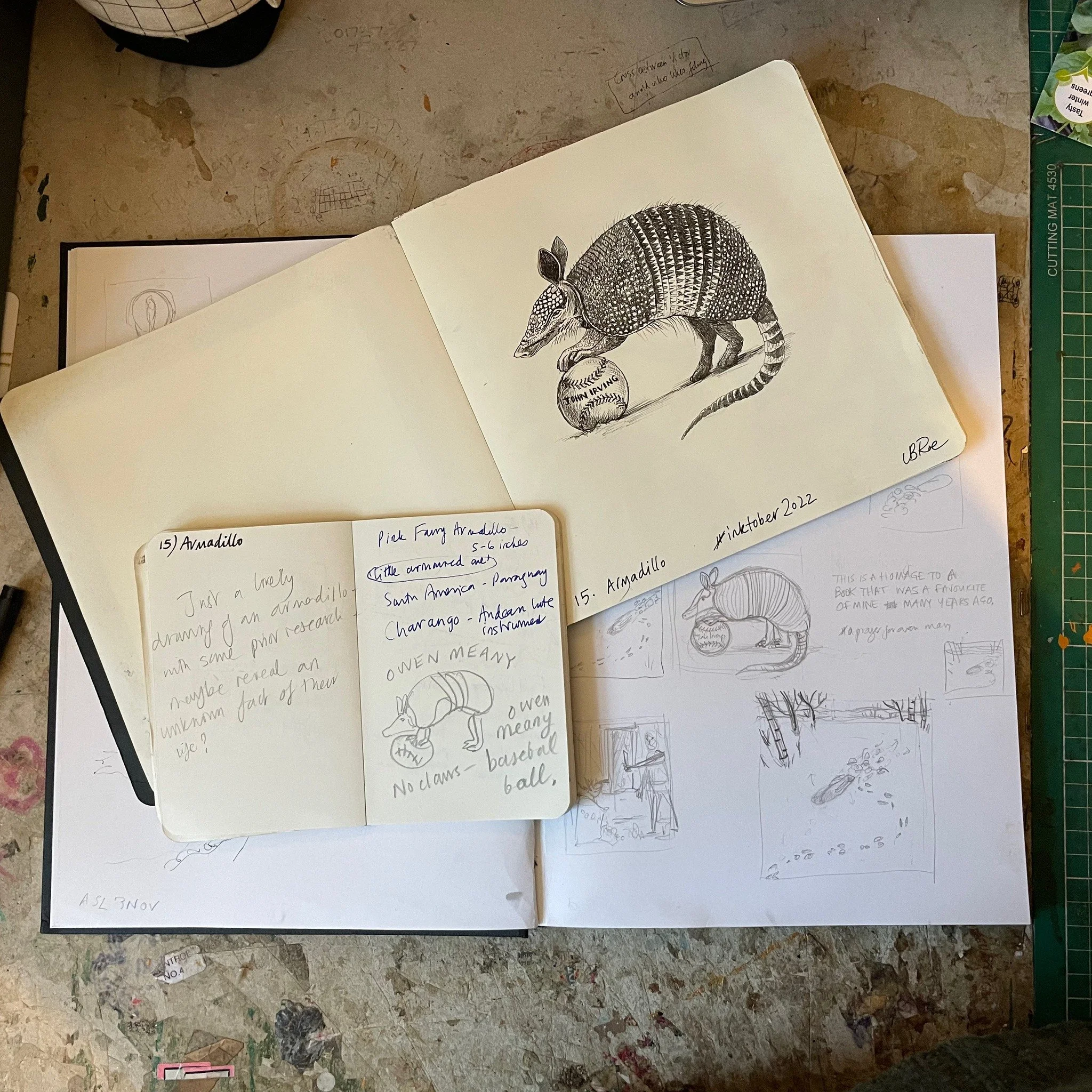 Armadillo artwork work in progress and finished AW.
