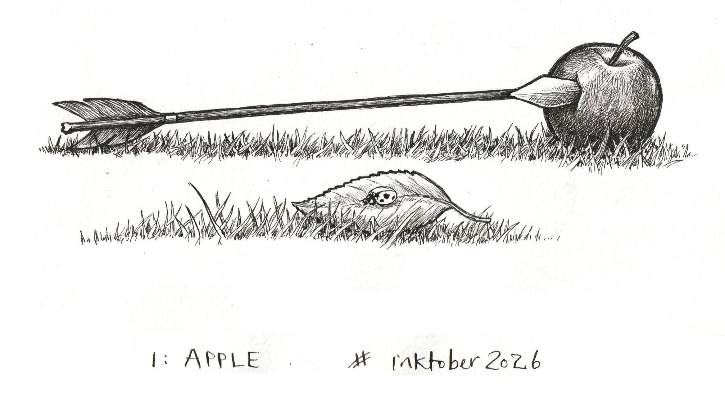1: APPLE
This apple lies on the grass in the ruined hall of Caer Paravel. 
In the Chronicles of Narnia, Susan shot the apple from the tree with her bow and arrow in a contest with Trumpkin the Dwarf, who had previously missed the apple by a whisker, 