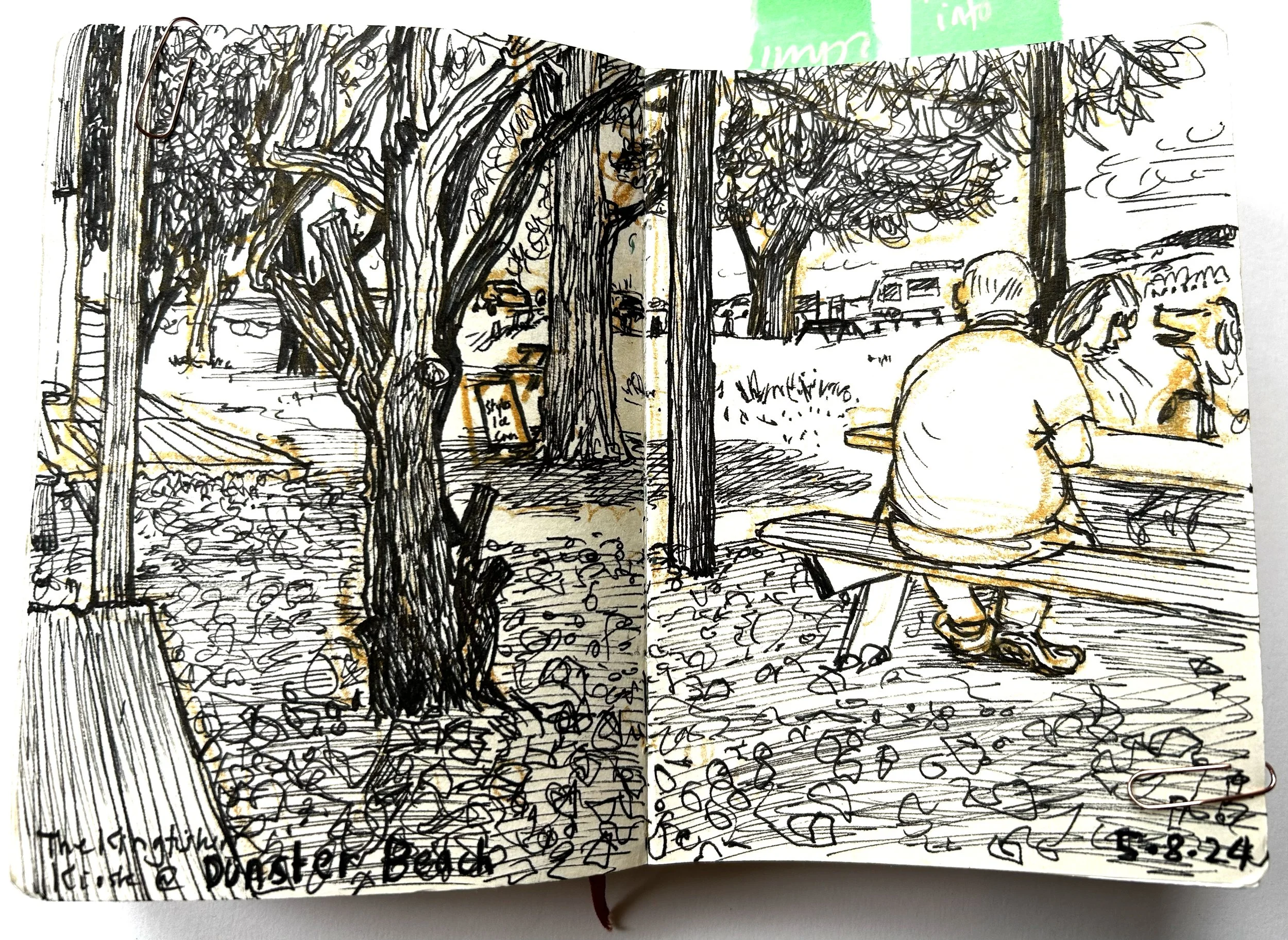 somerset in situ with gold pencil.jpg