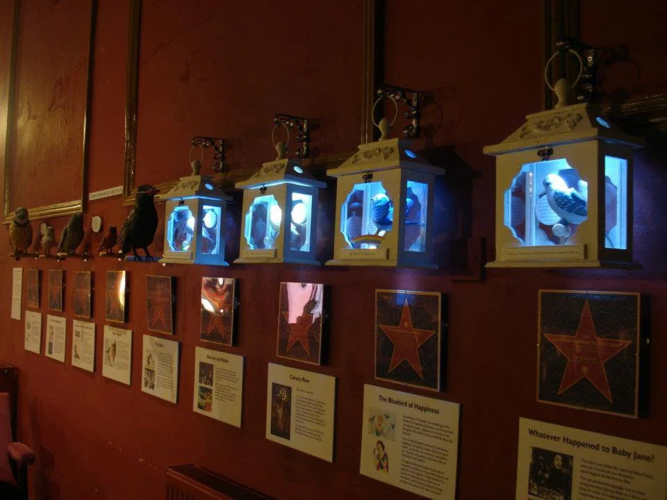 UPP lit up bird boxes.jpg