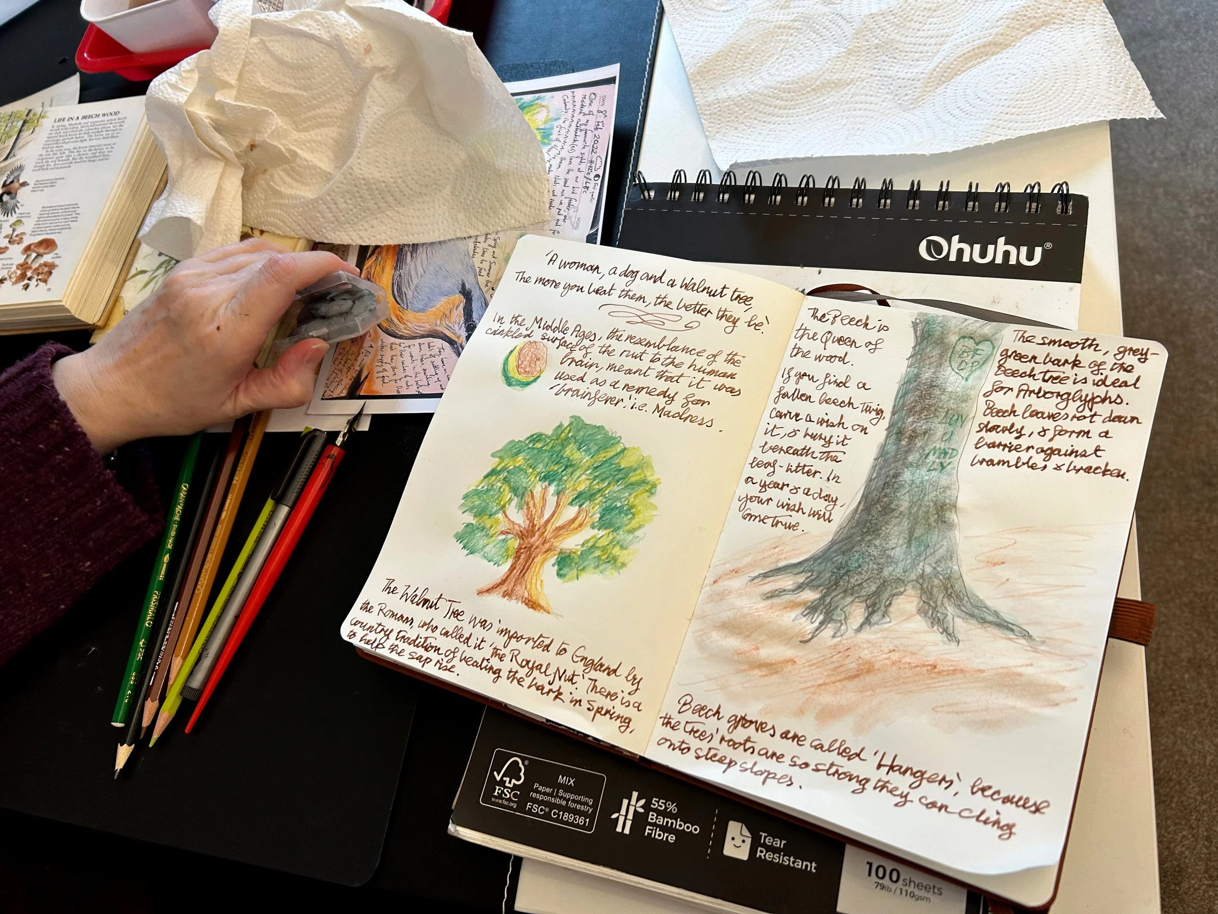 Workshop 4: 13/06/26 NATURE NOTE-TAKING