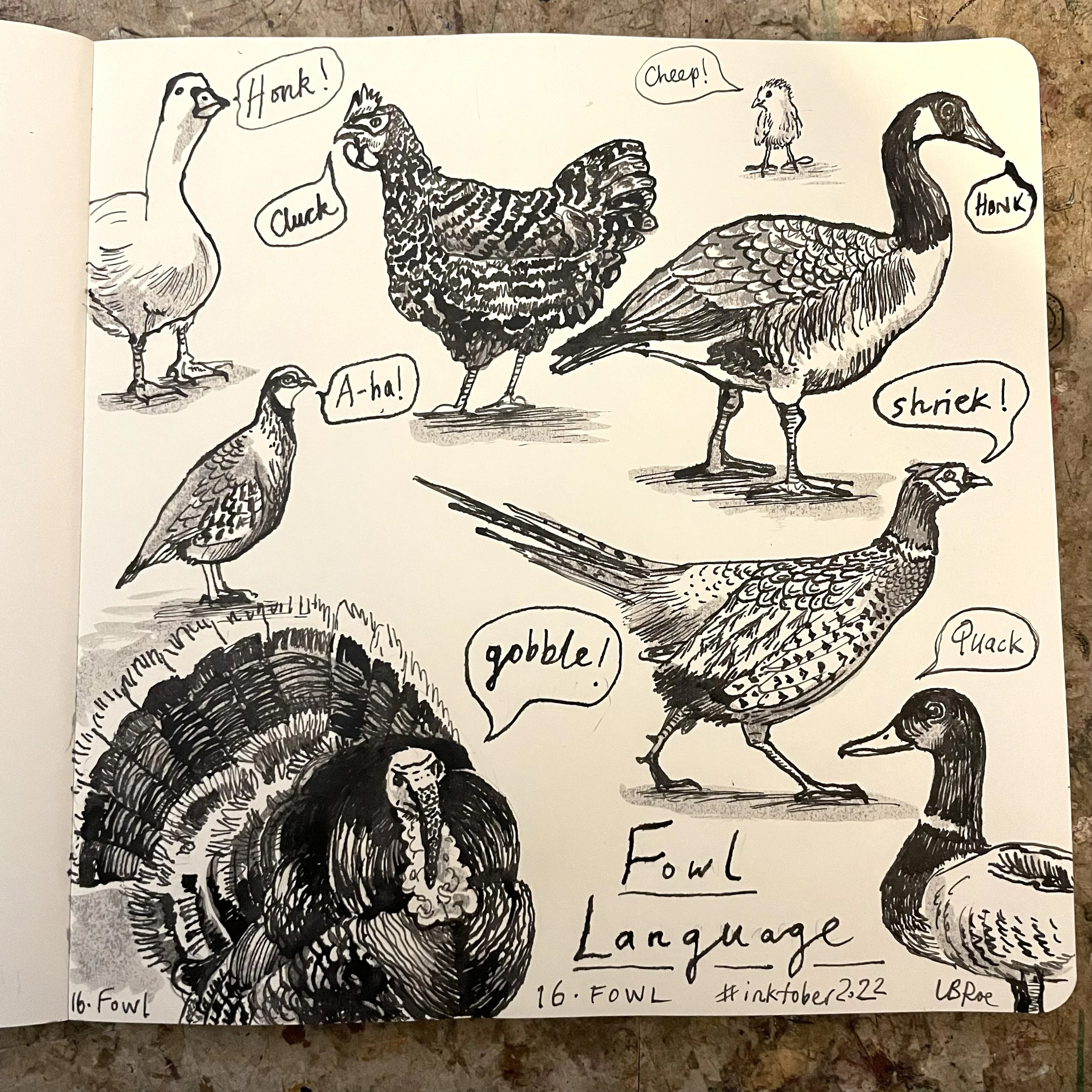 DAY 16: FOWL
