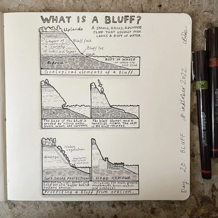 DAY 20: BLUFF