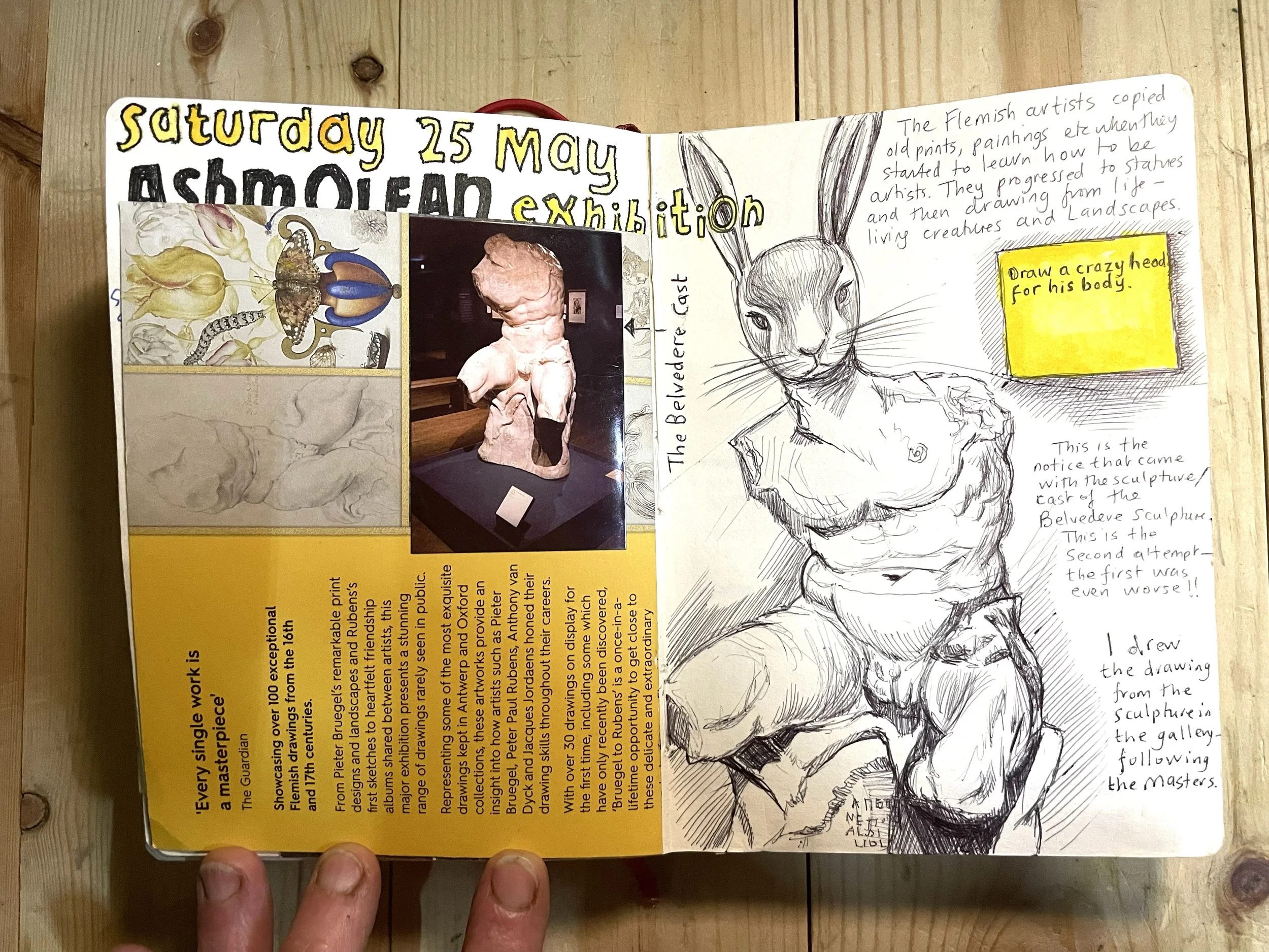 Some in situ sketching of the Belvedere cast which was in the Bruegel to Rubens exhibition at the Ashmolean. May 2024