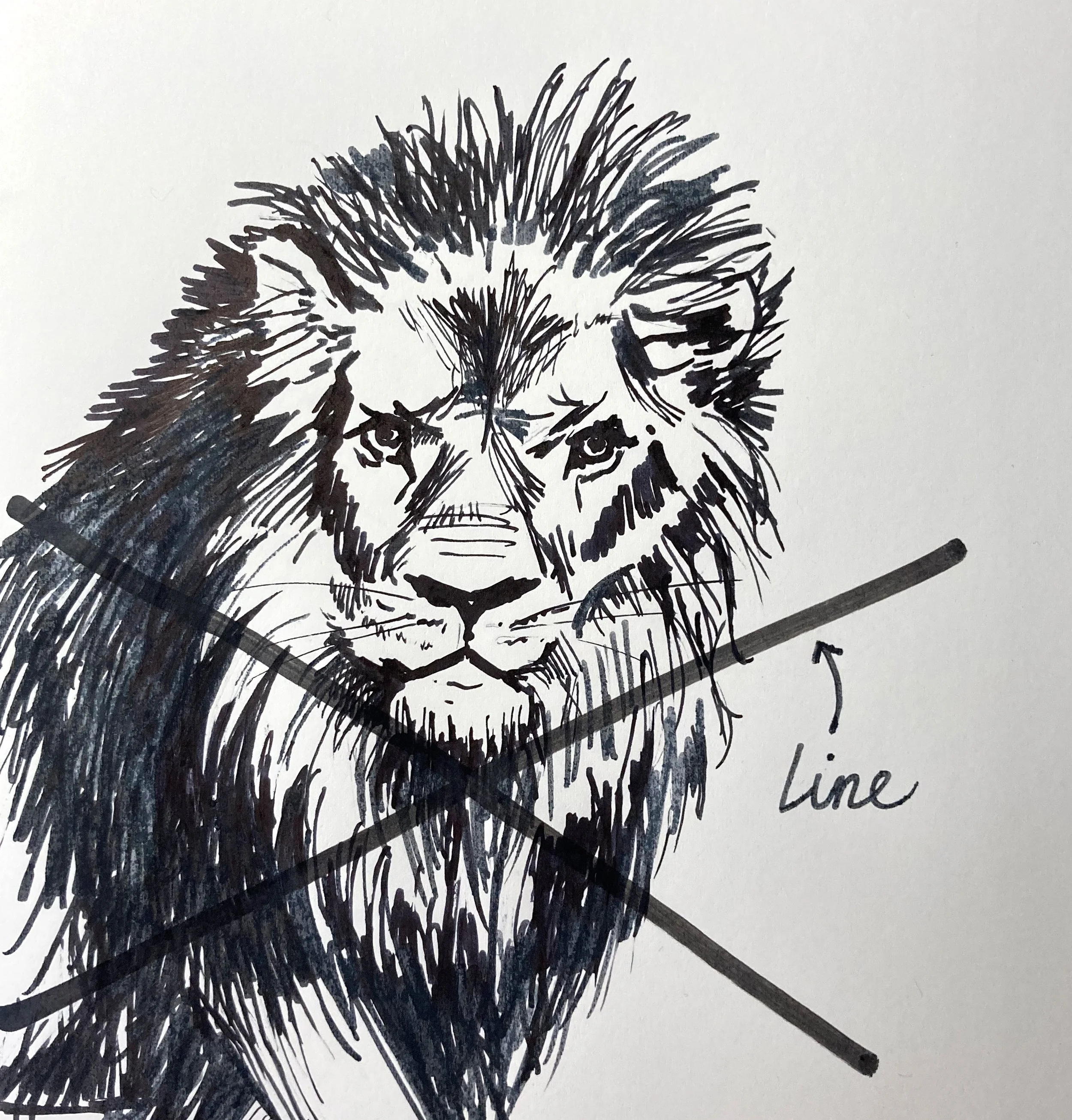 DAY 3: LINE