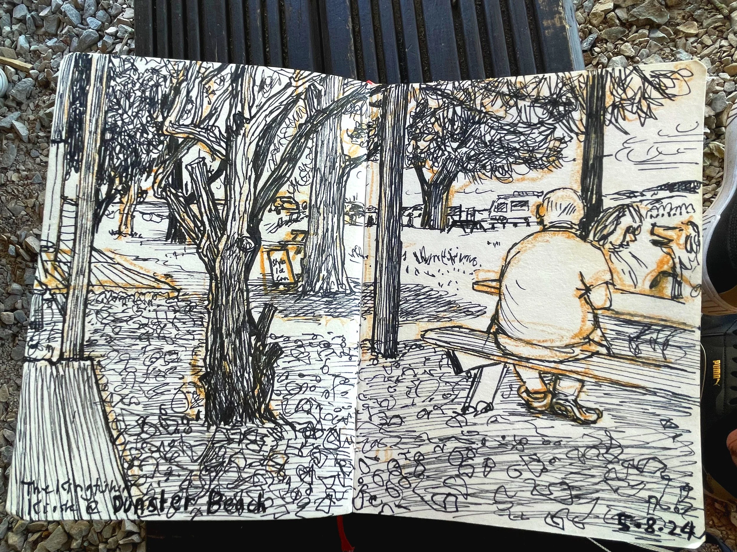 The Kingfisher Kiosk at Dunster Beach, Somerset. The tree trunks were really good to draw (the straight ones are pergola posts)