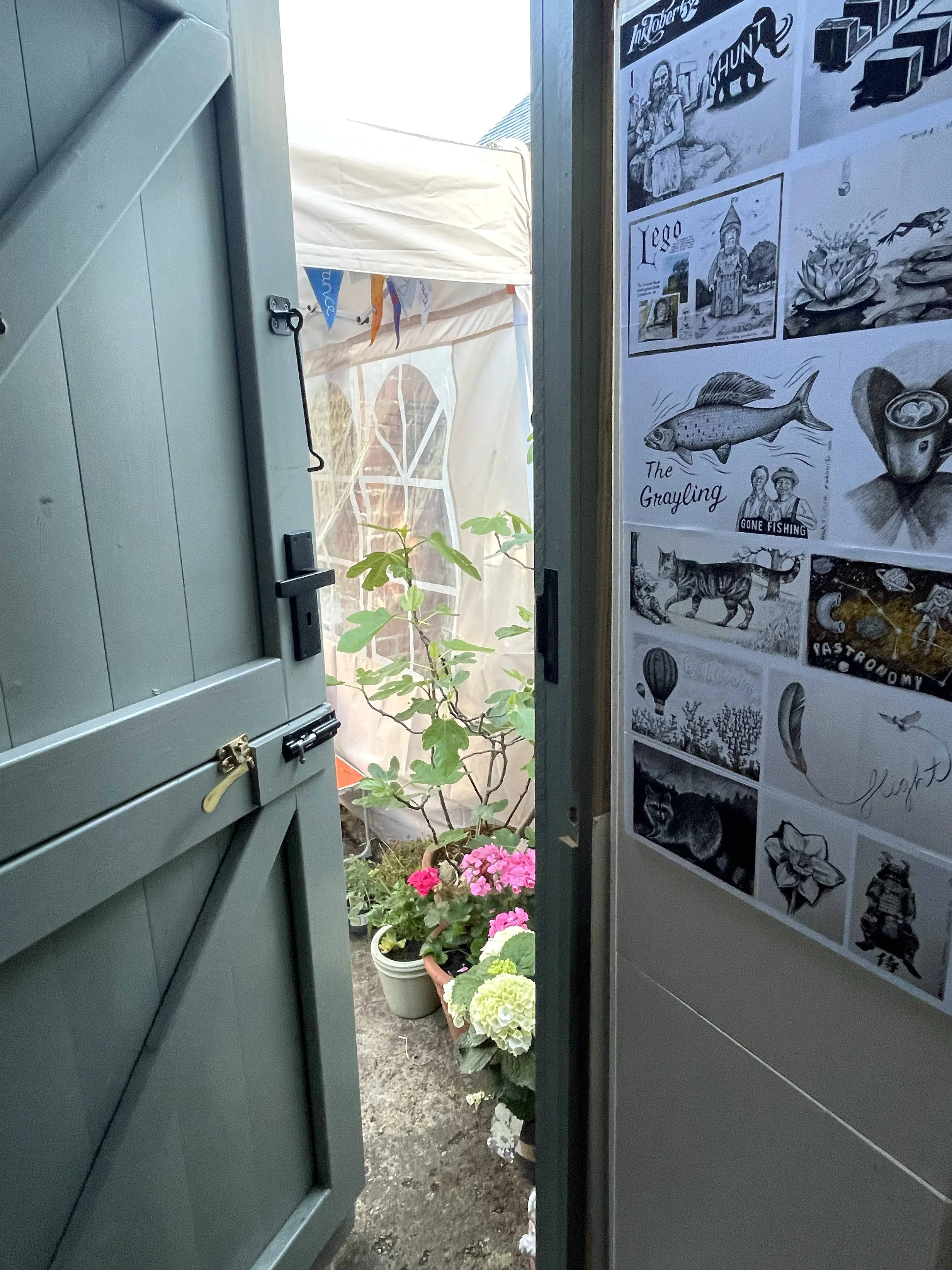 looking out the shed.jpg