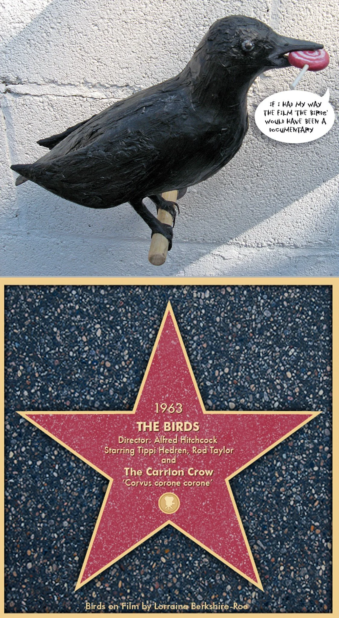 The crow from THE BIRDS.