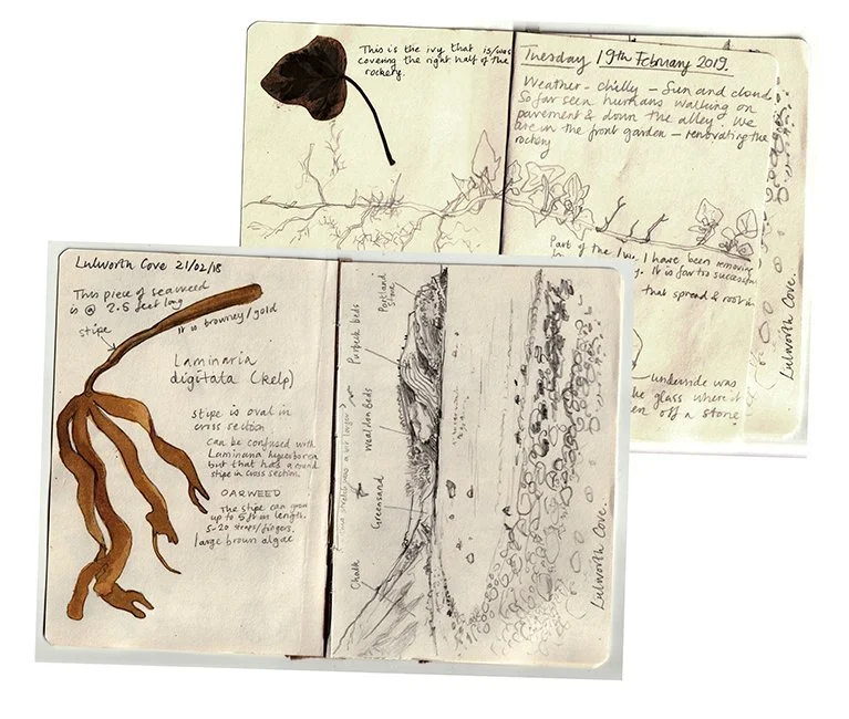 ivy in the garden.jpg