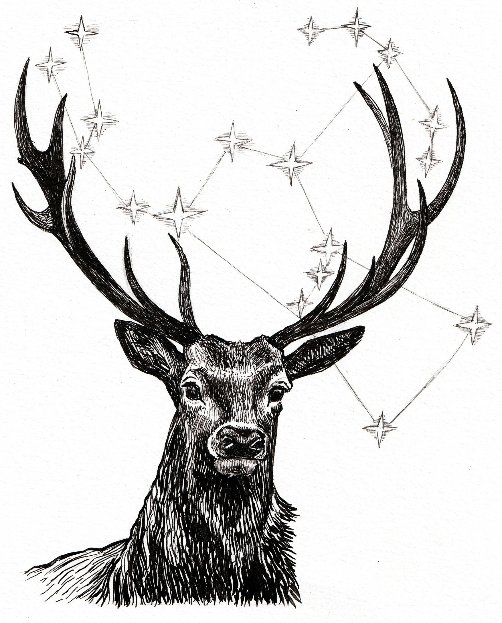 DEER scan slideshow.jpg