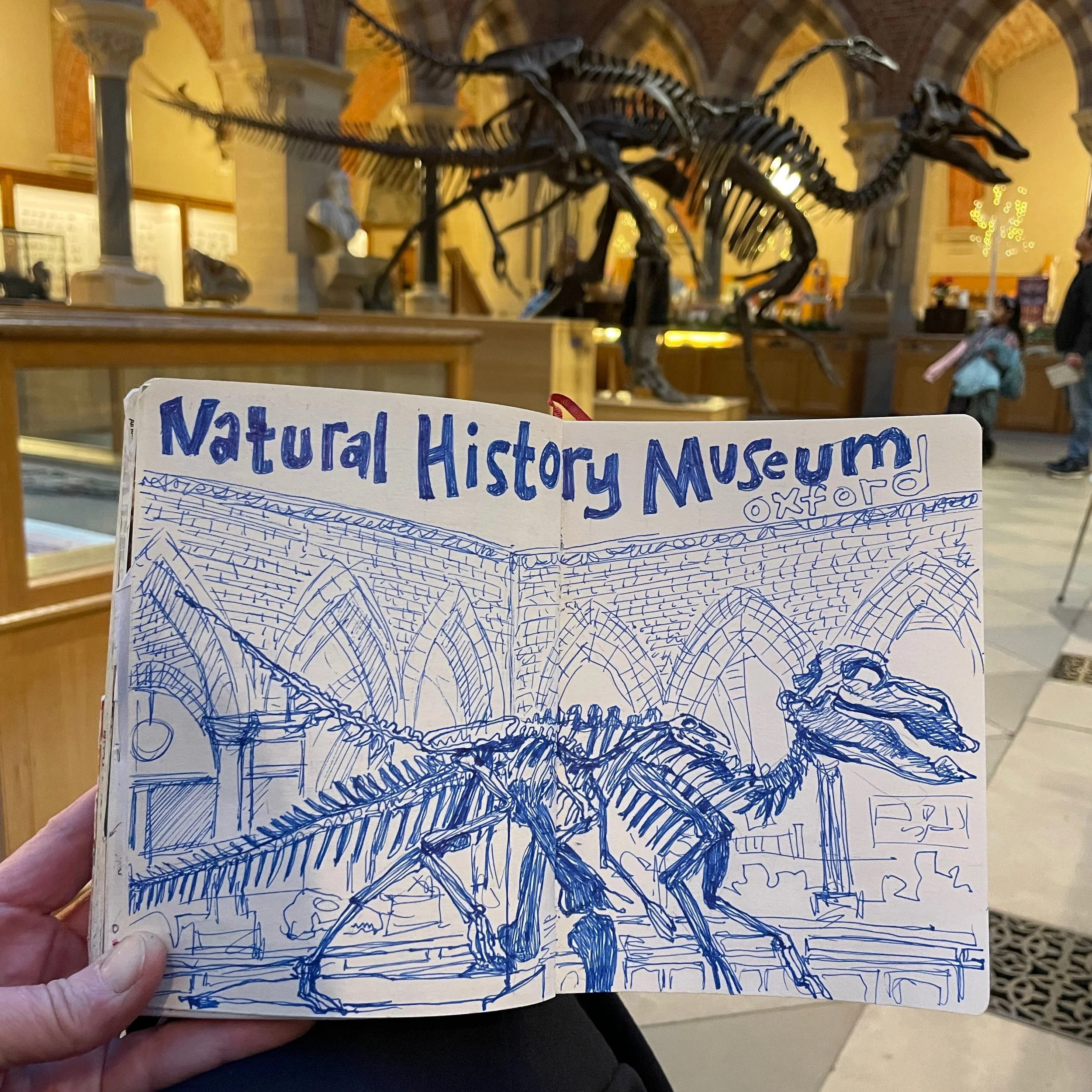 Sketching dinosaurs in situ at the University Museum of Natural History, Oxford.