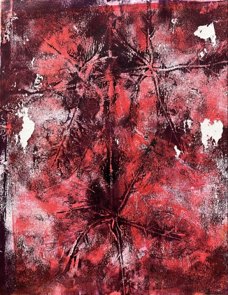 CASC 10917 red.jpeg