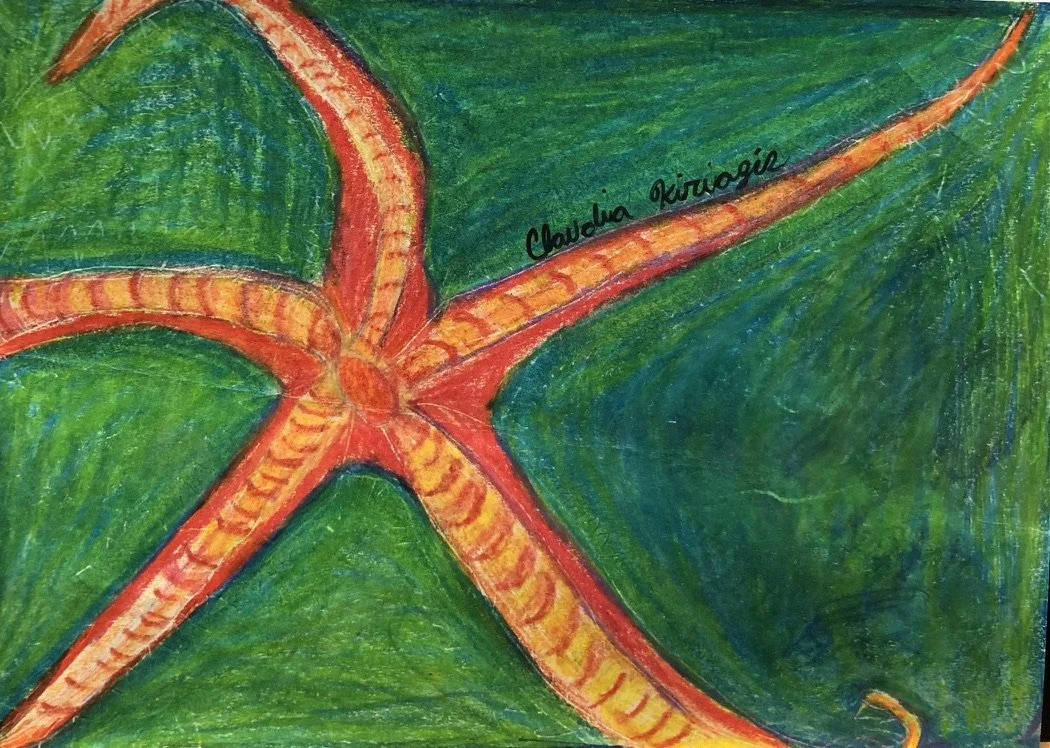 KICL 10080star.jpeg