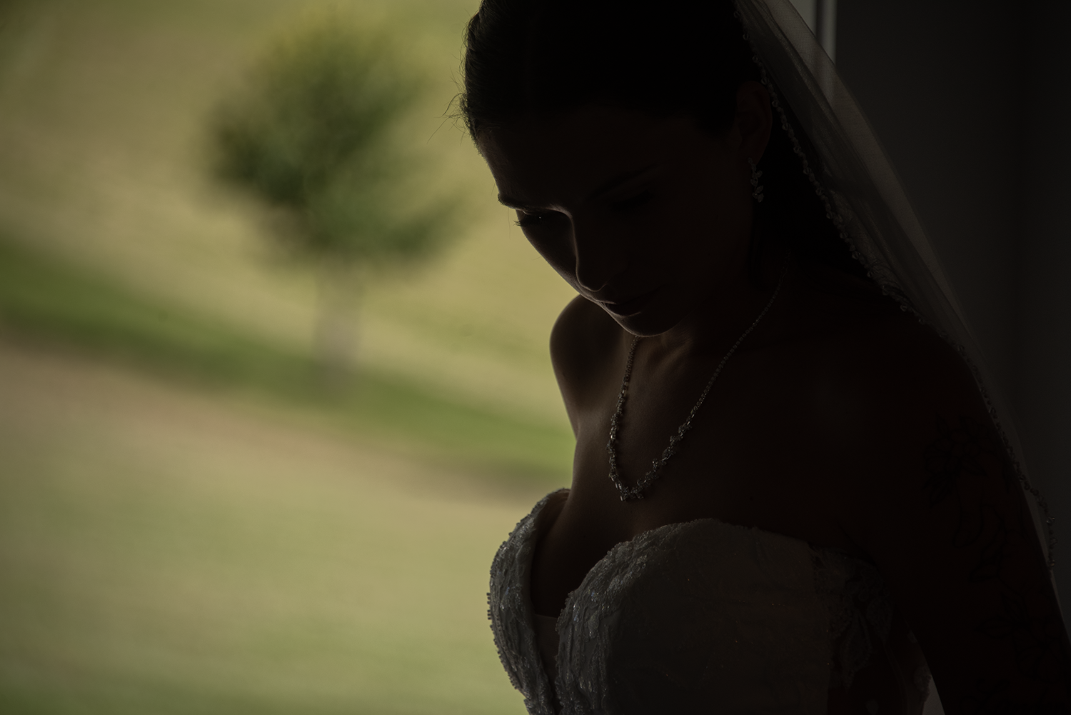 DSC_2475.png