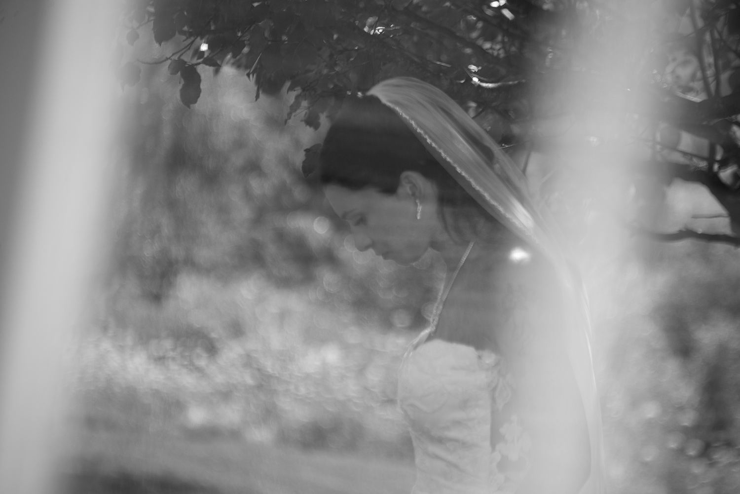 DSC_2499.png