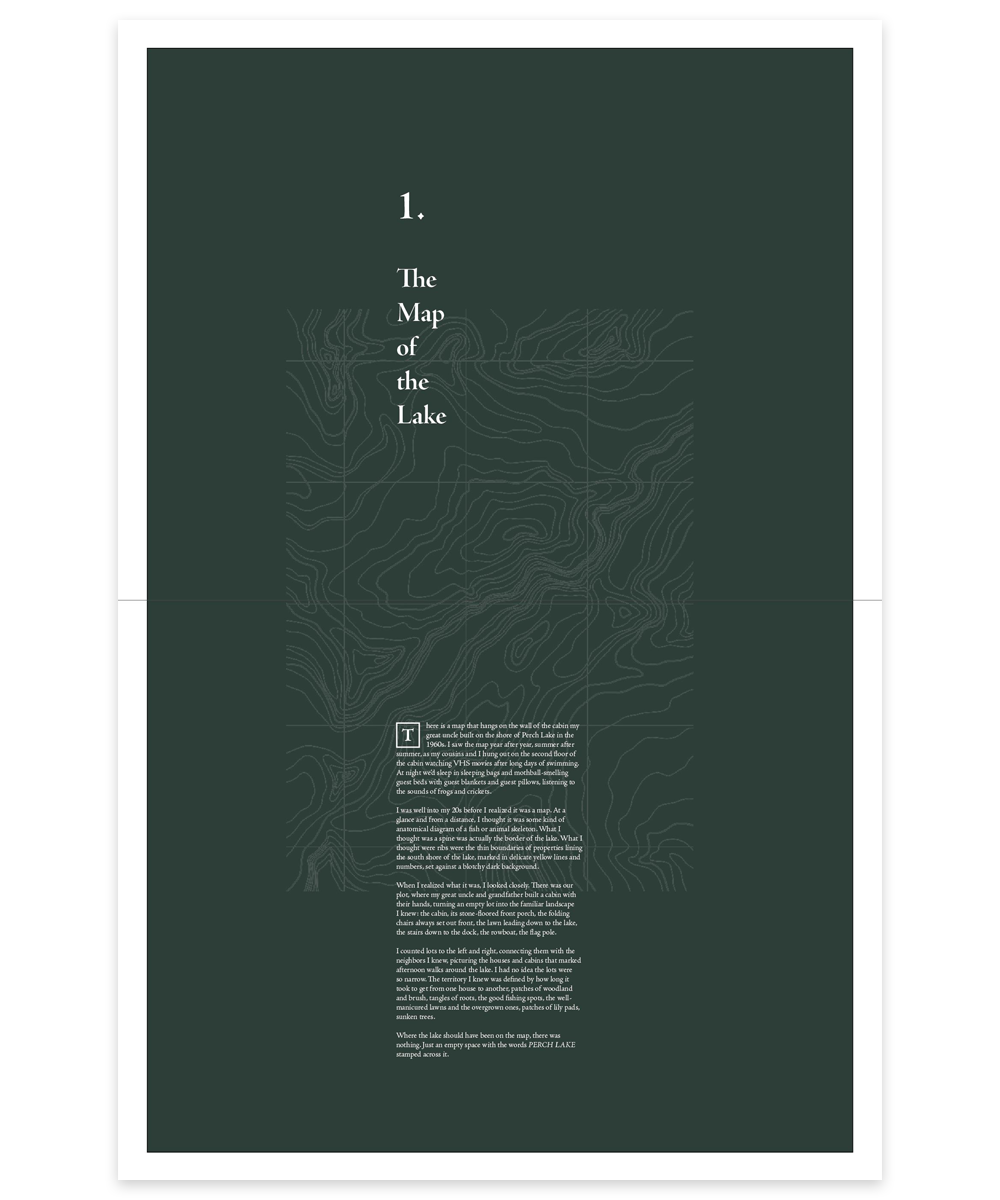 issue 3 preview 2.png