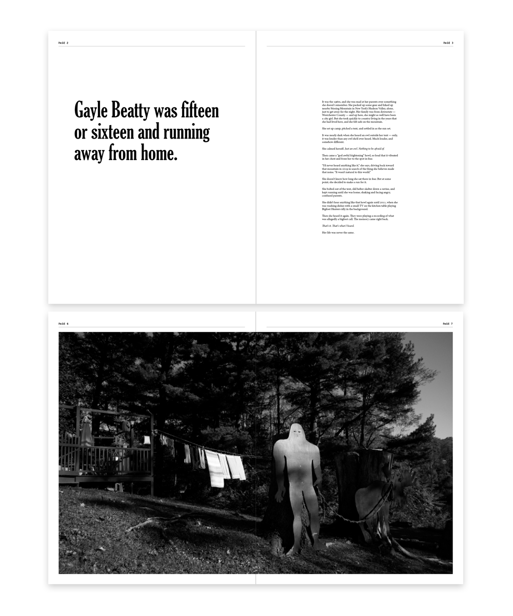 issue 1 preview 2.png
