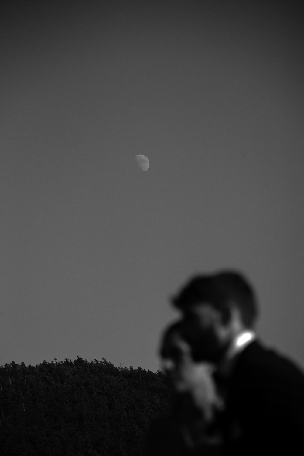 DSC_3337.png